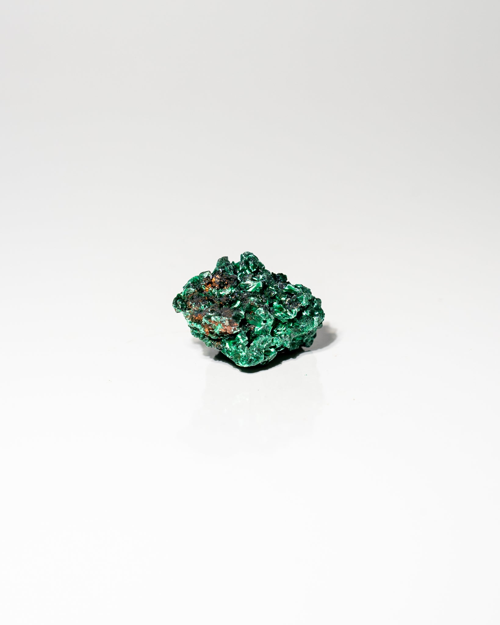 Velvet Malachite African Congo