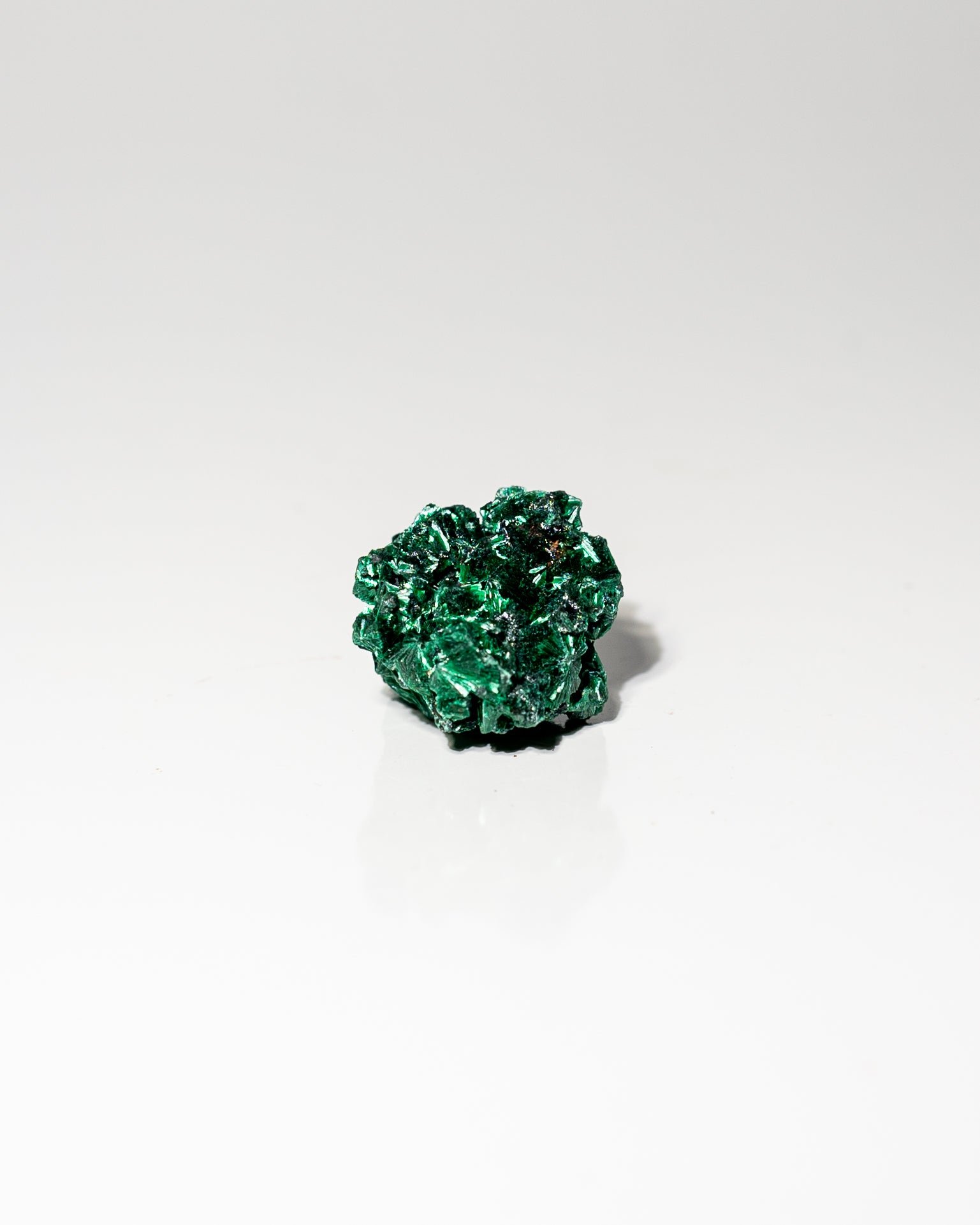 Velvet Malachite African Congo