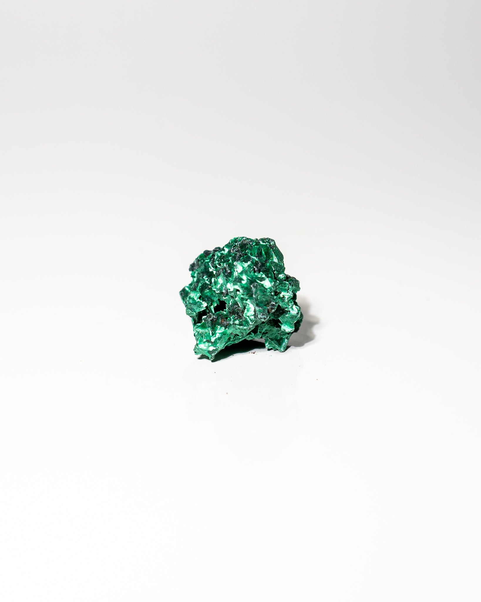 Velvet Malachite African Congo