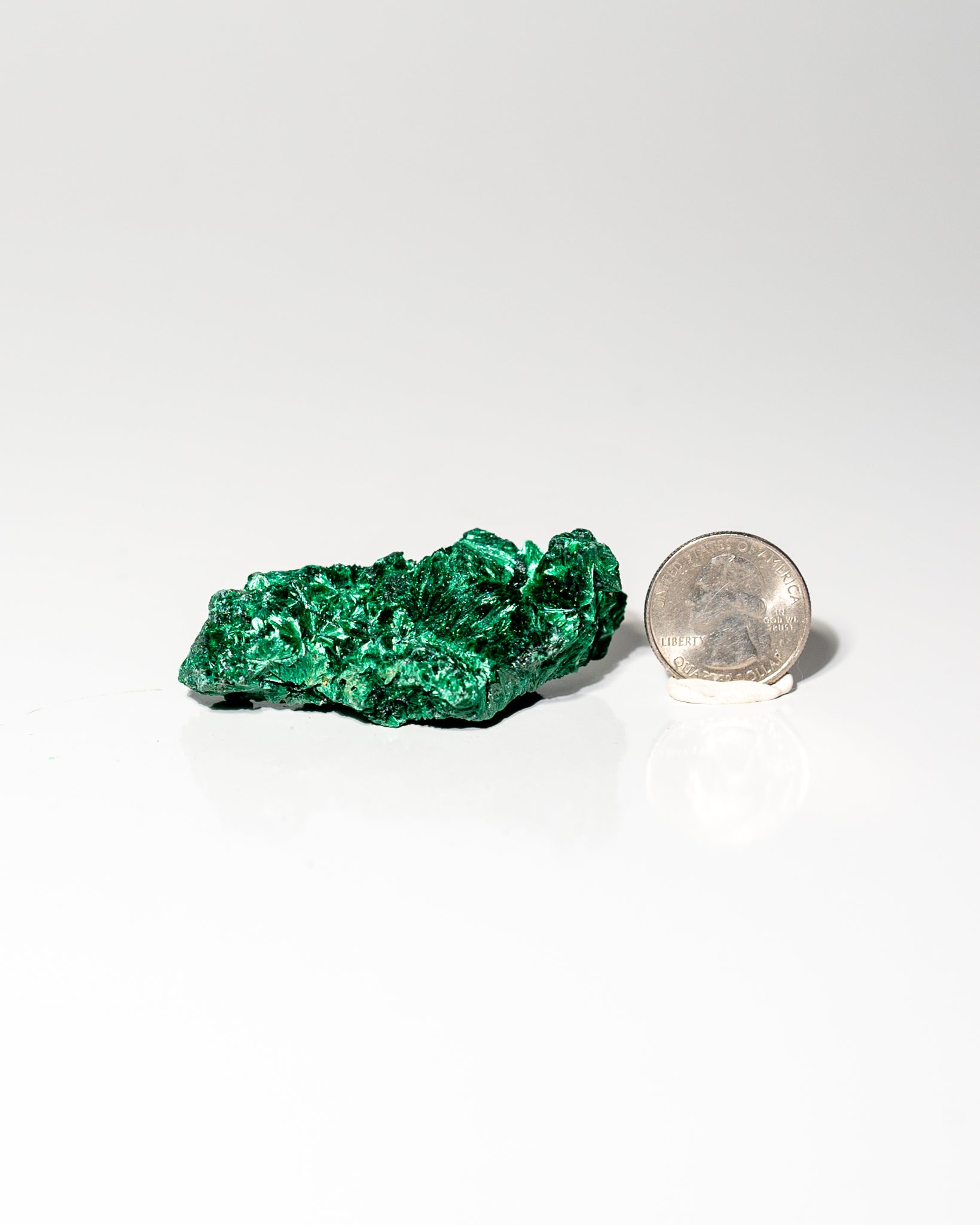 Velvet Malachite African Congo