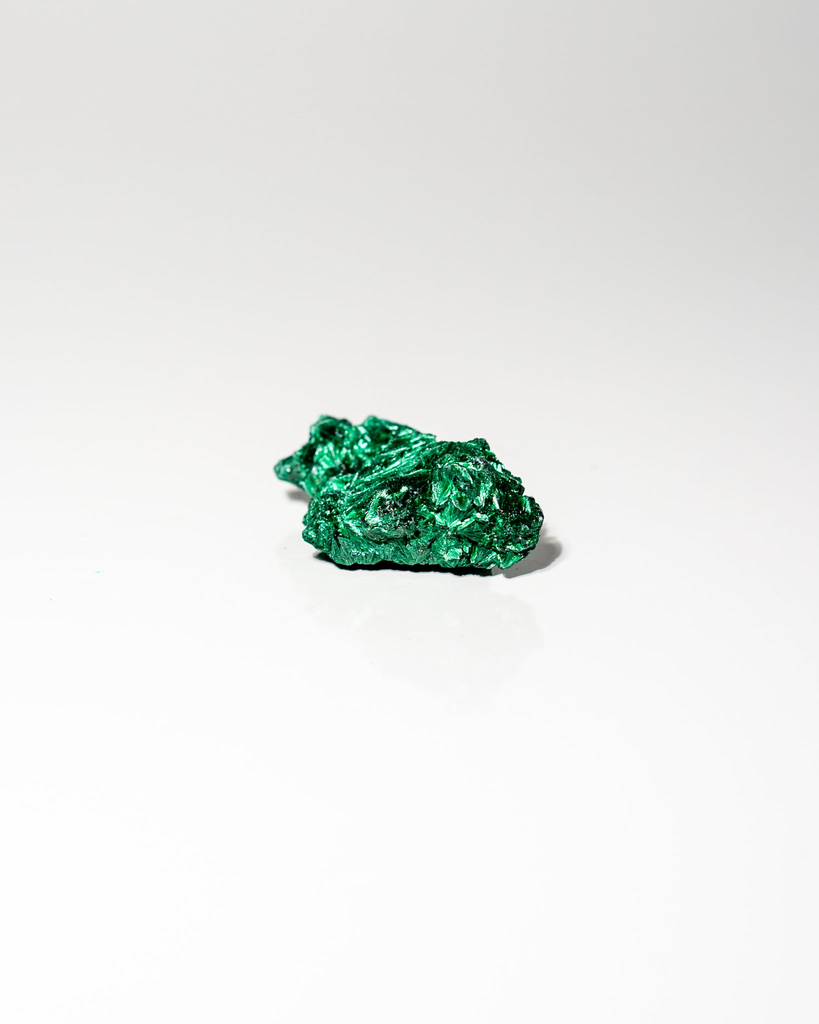 Velvet Malachite African Congo