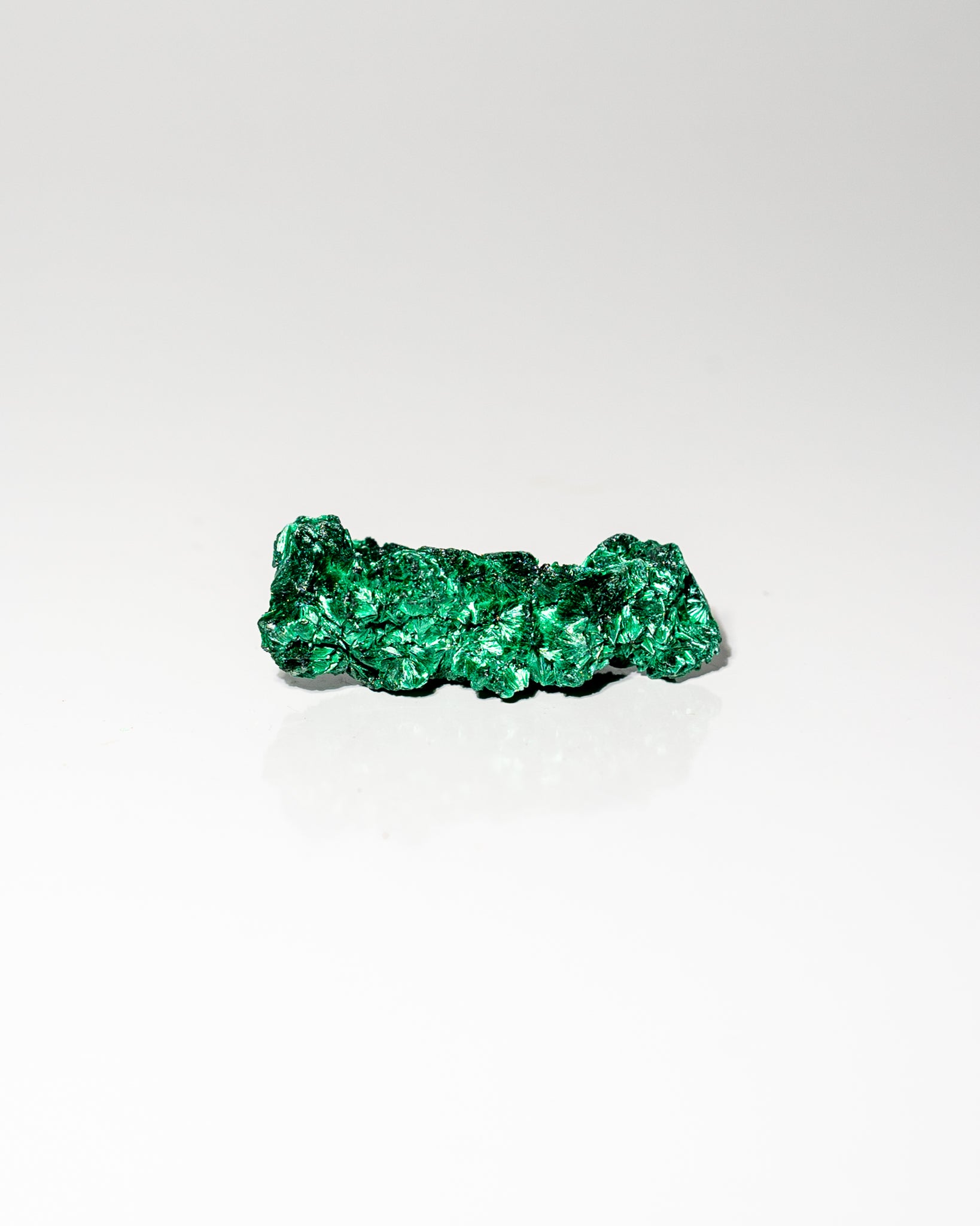 Velvet Malachite African Congo