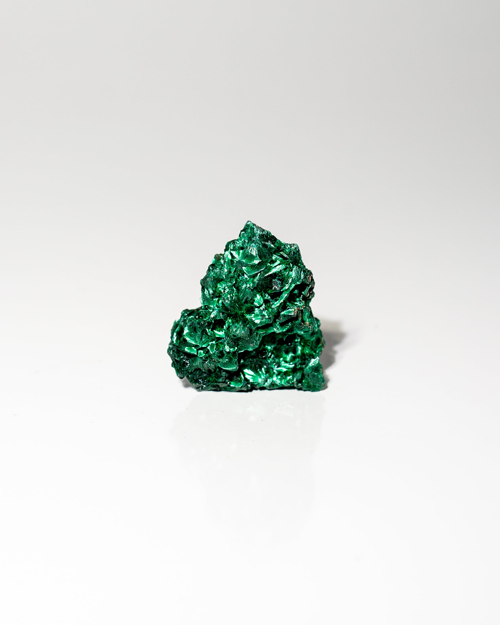 Velvet Malachite African Congo