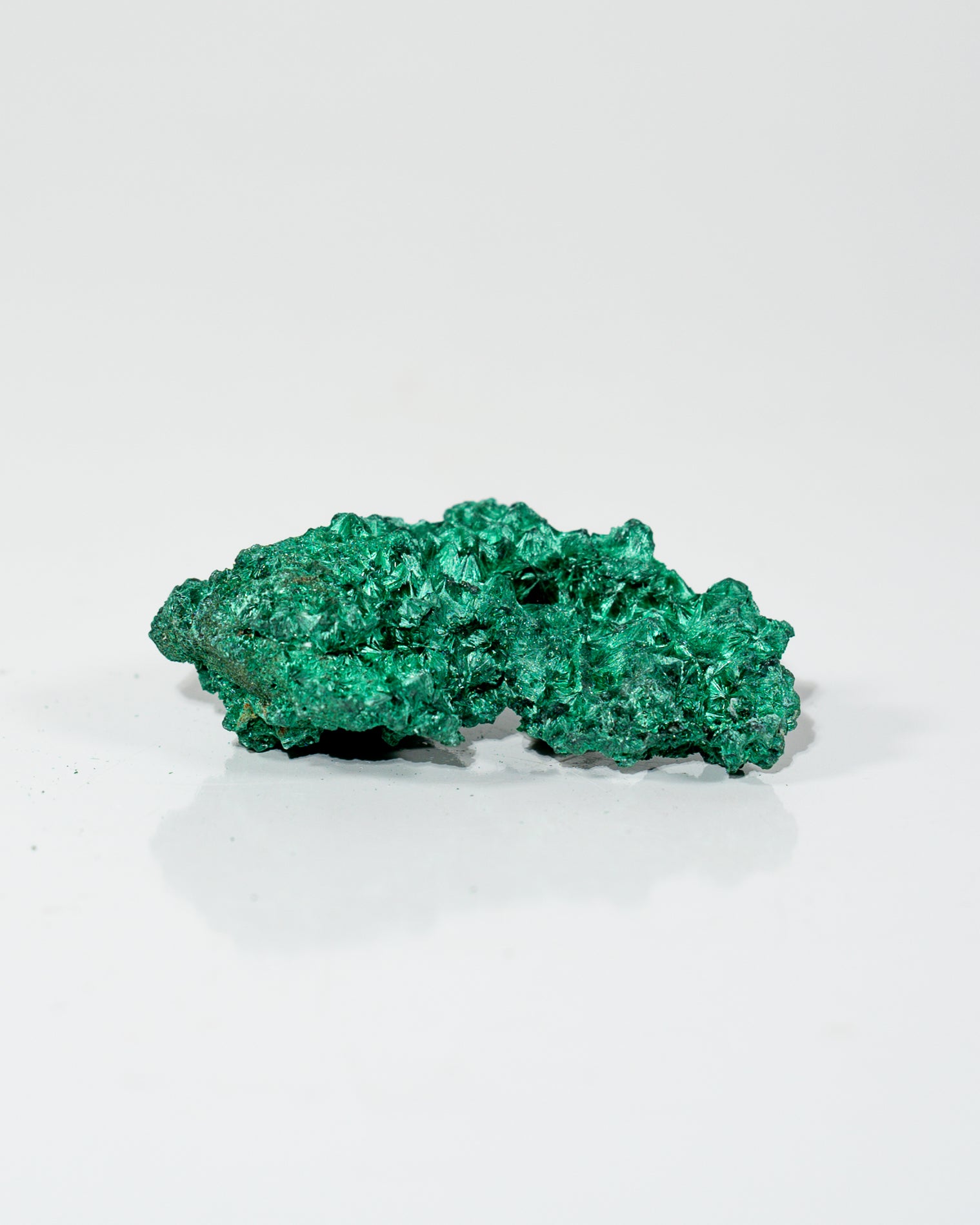 Velvet Malachite Congo