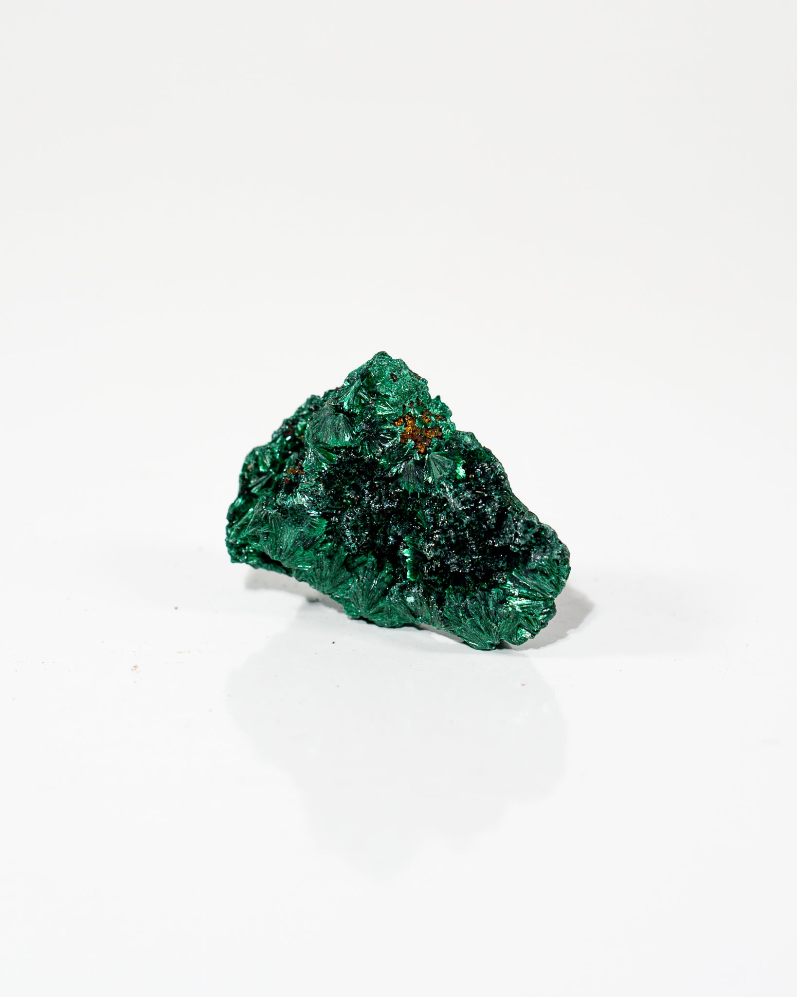 Velvet Malachite Congo