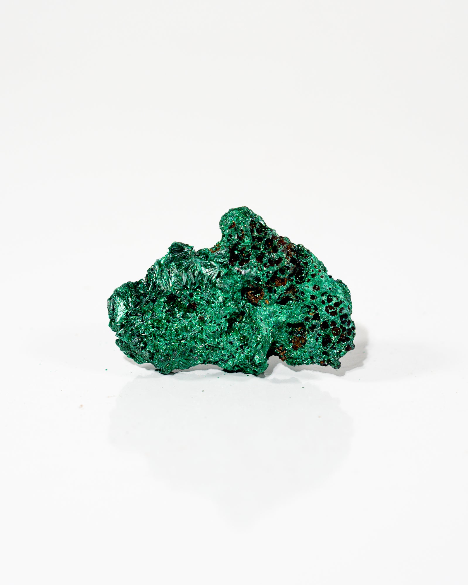 Velvet Malachite Congo