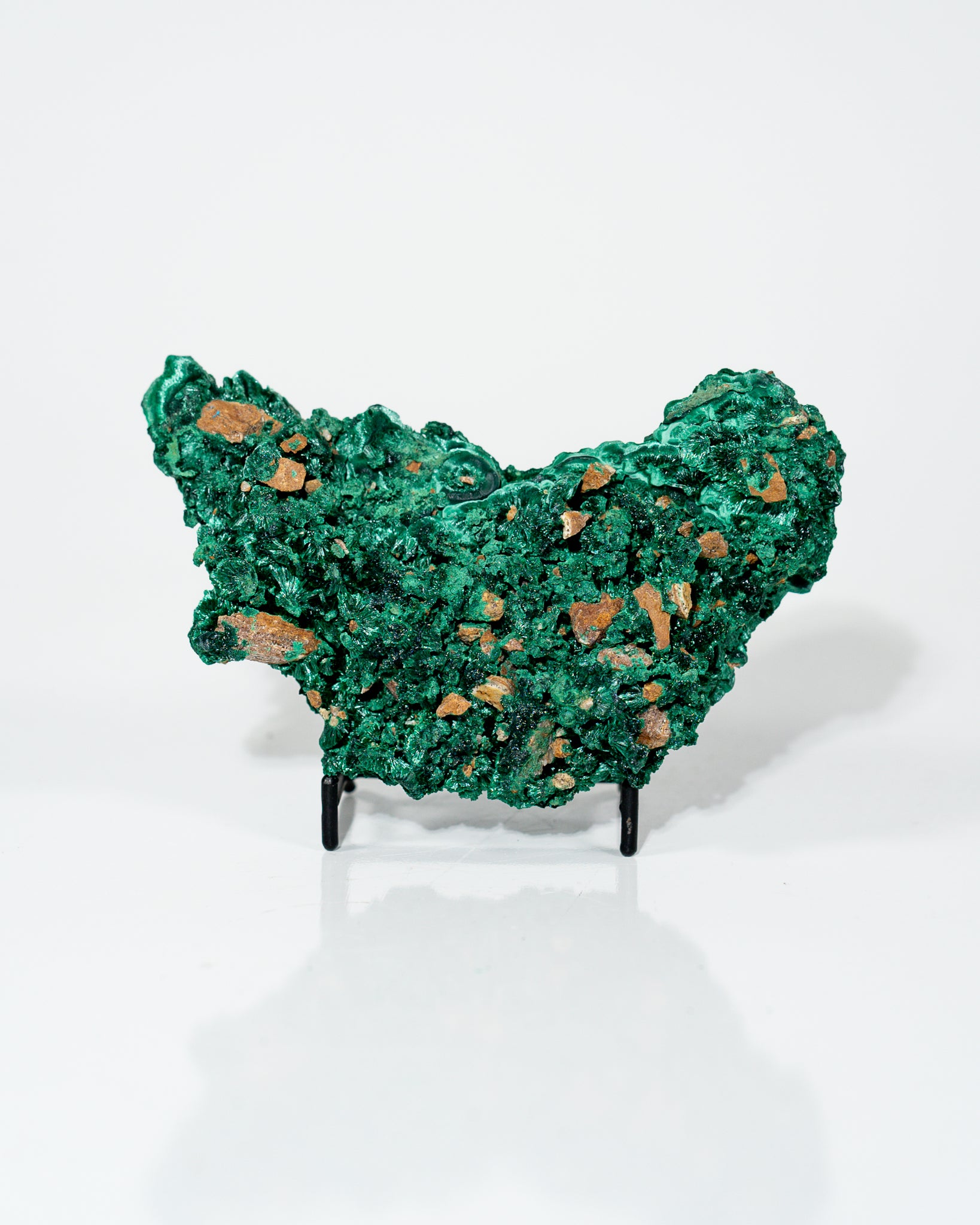 Velvet Malachite Congo