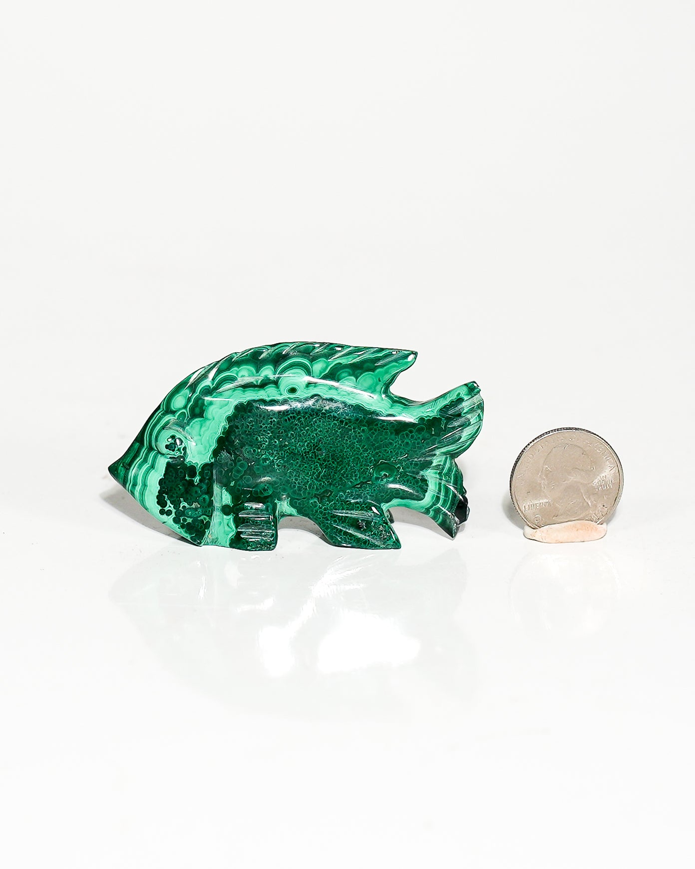 Polished Malachite Fish