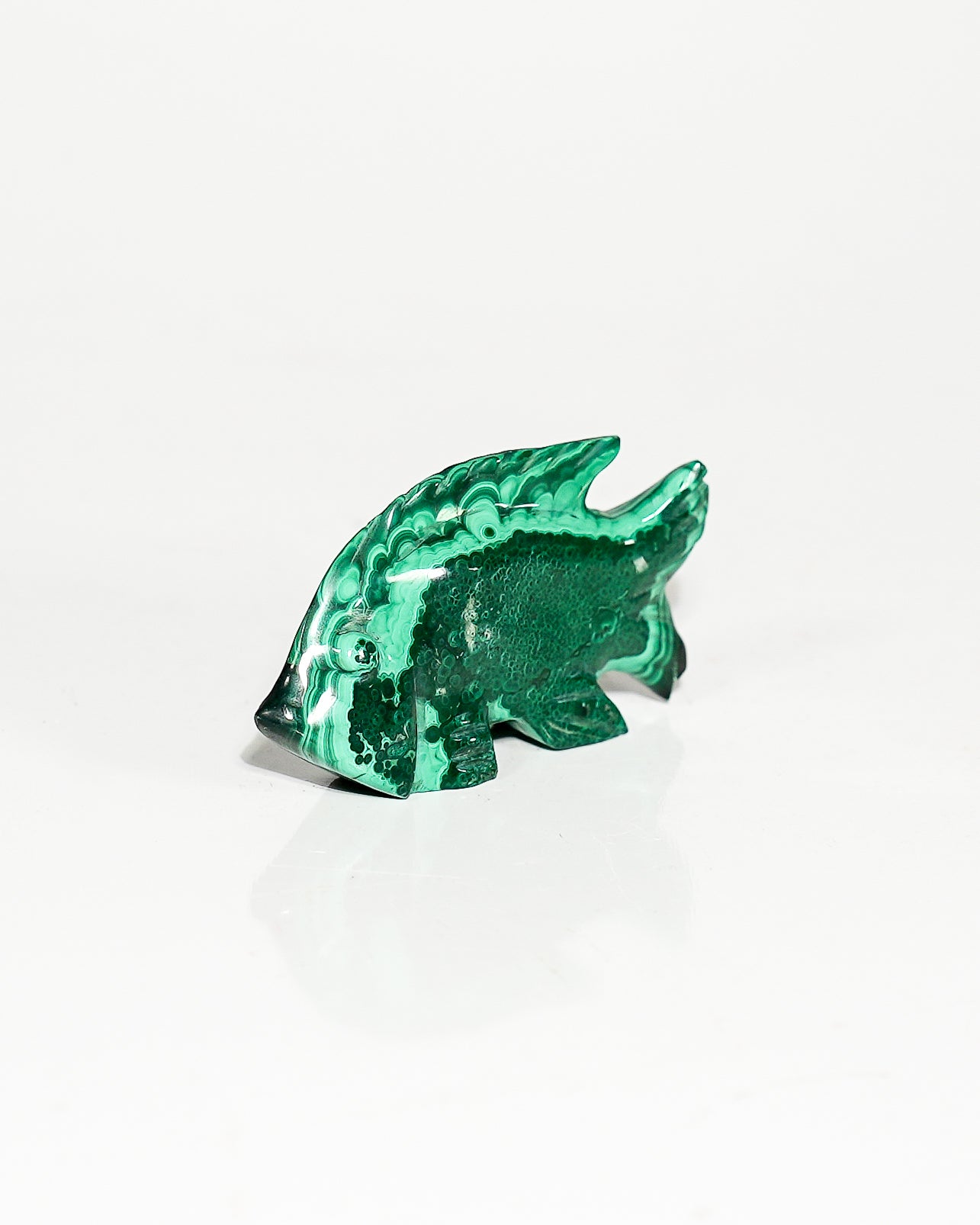 Polished Malachite Fish