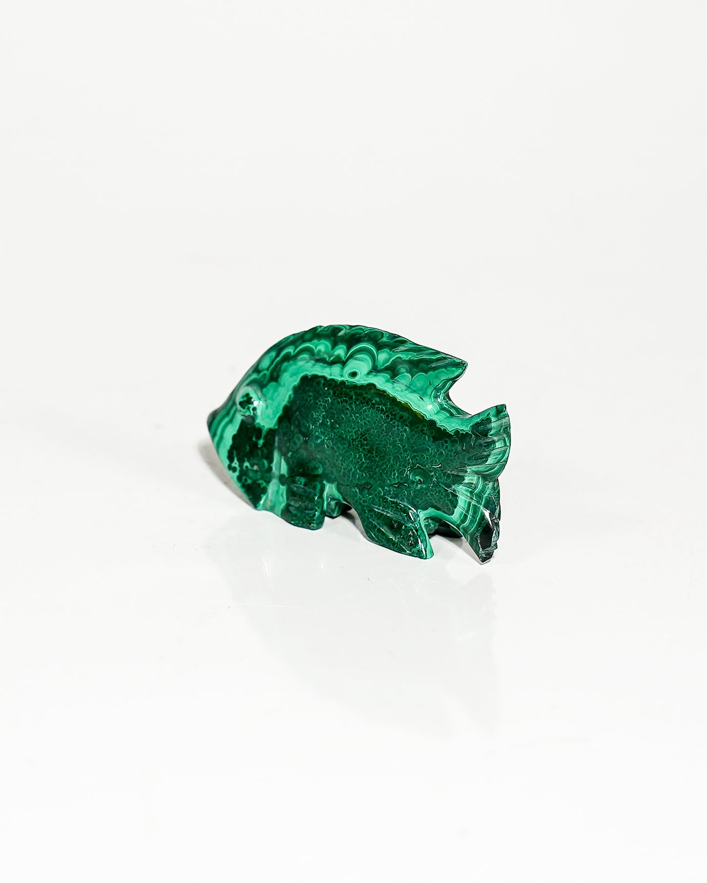 Polished Malachite Fish