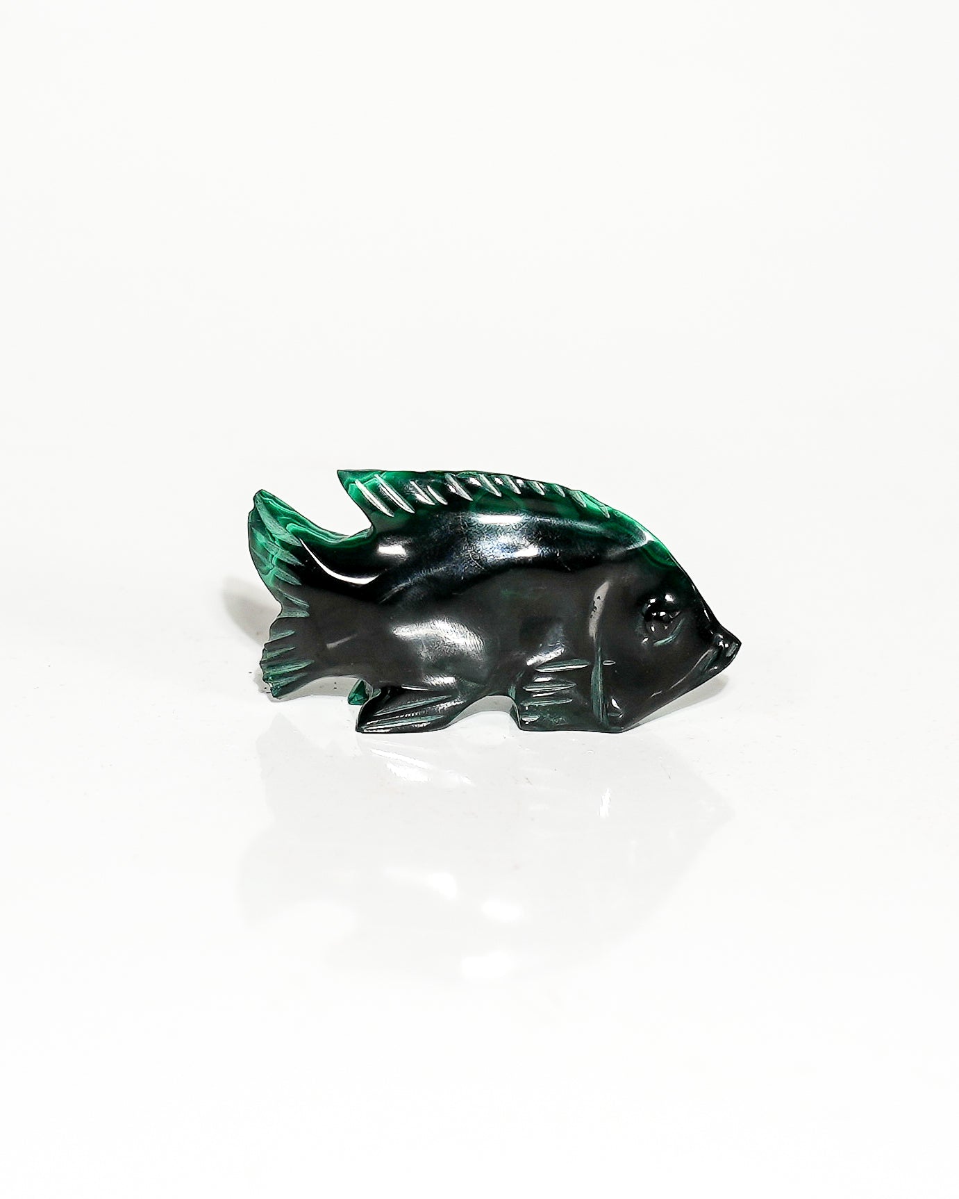 Polished Malachite Fish