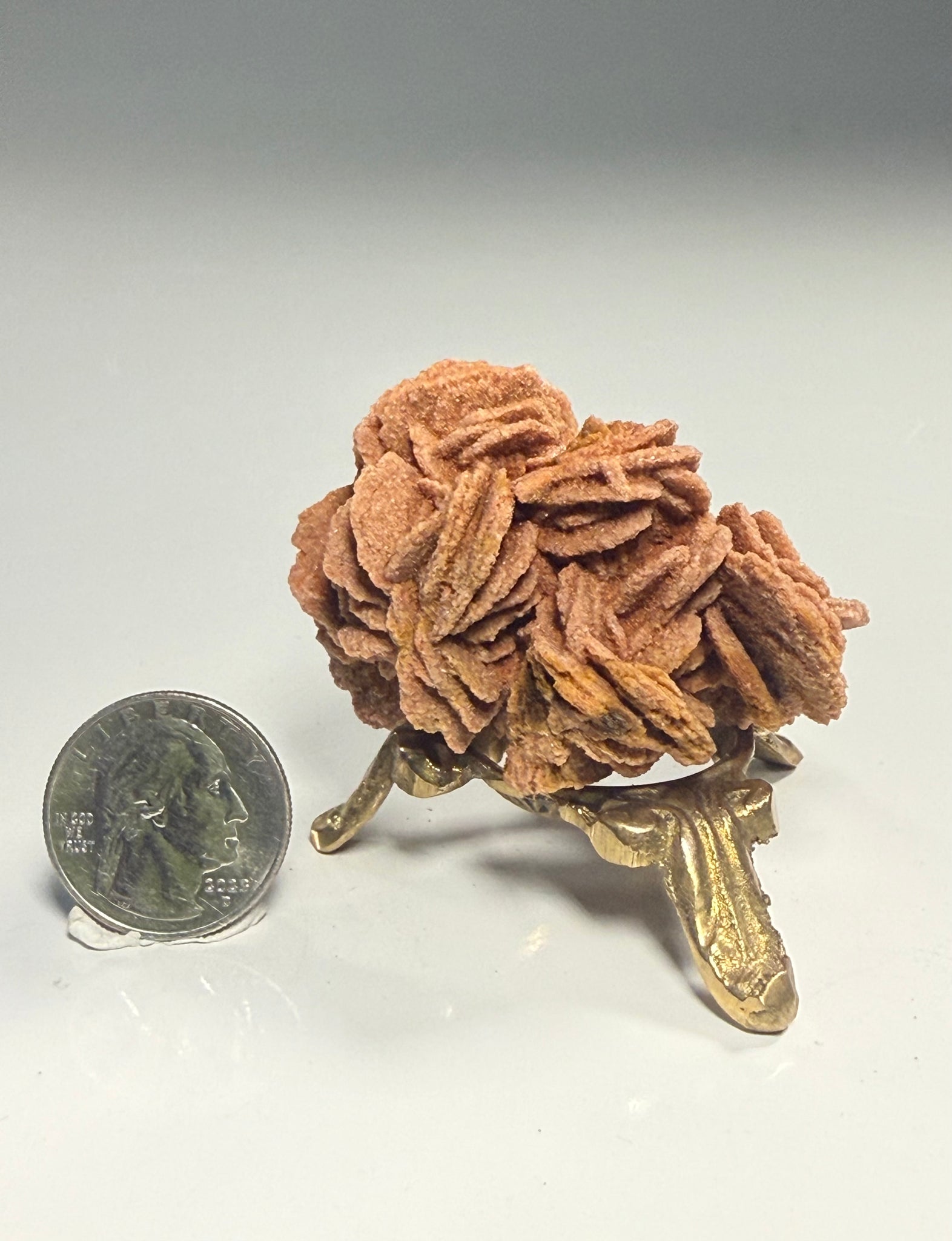 Barite Rose Rock Cluster | Oklahoma