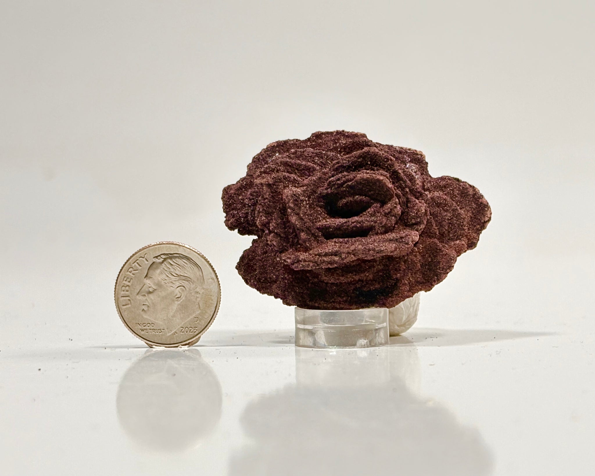 Ultra-Hematitic Barite Roses