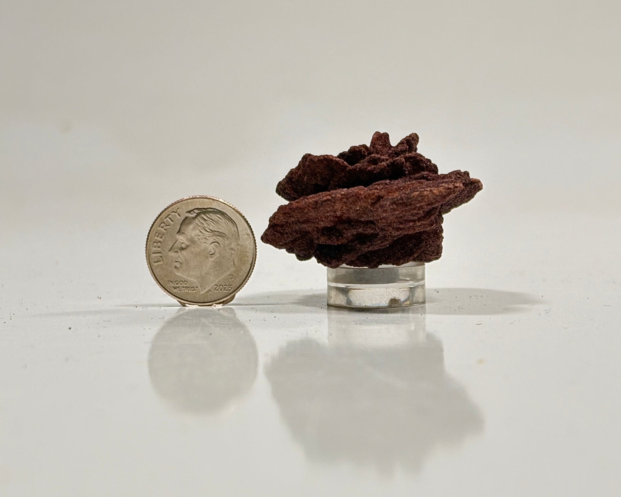 Ultra-Hematitic Barite Roses