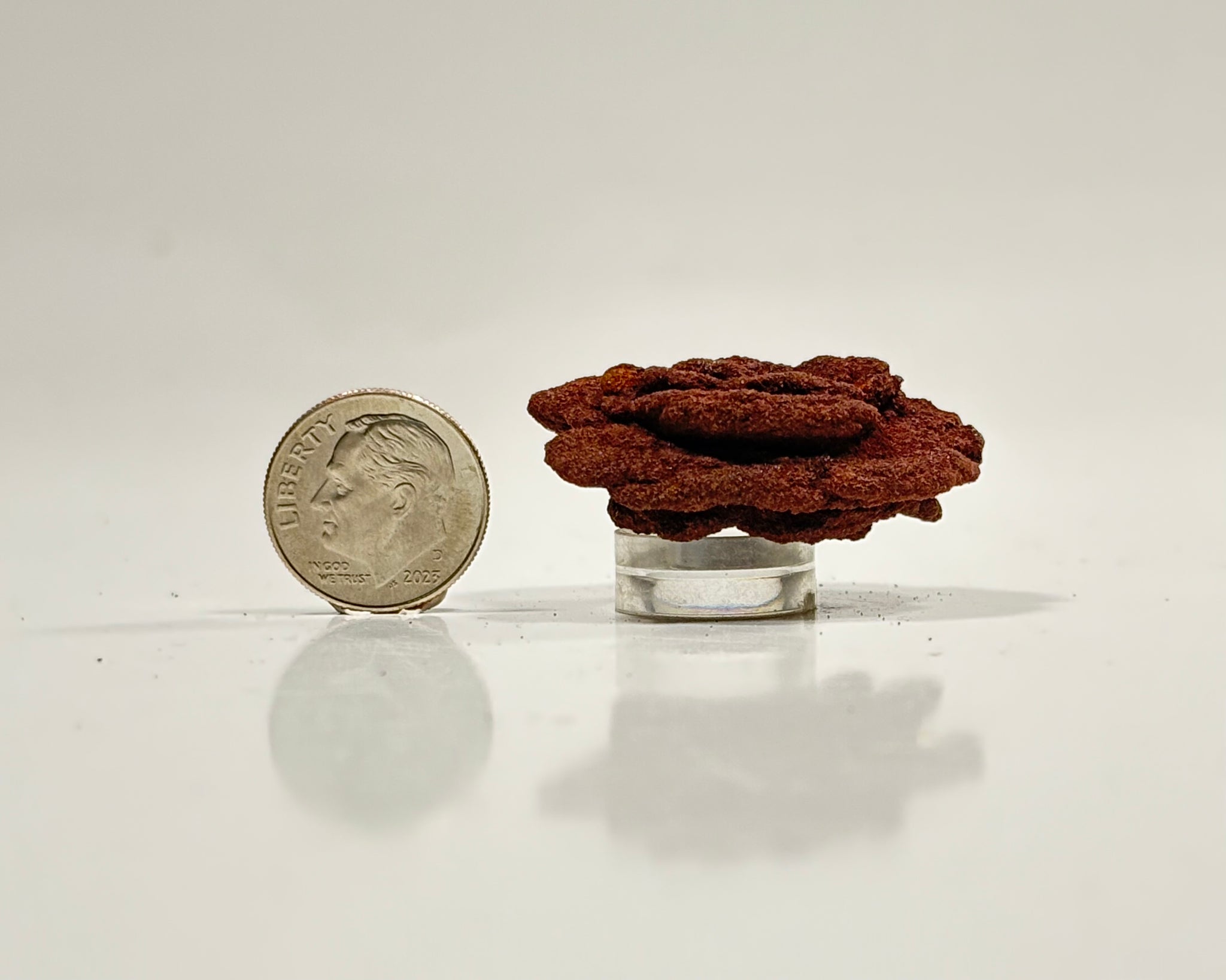 Ultra-Hematitic Barite Rose