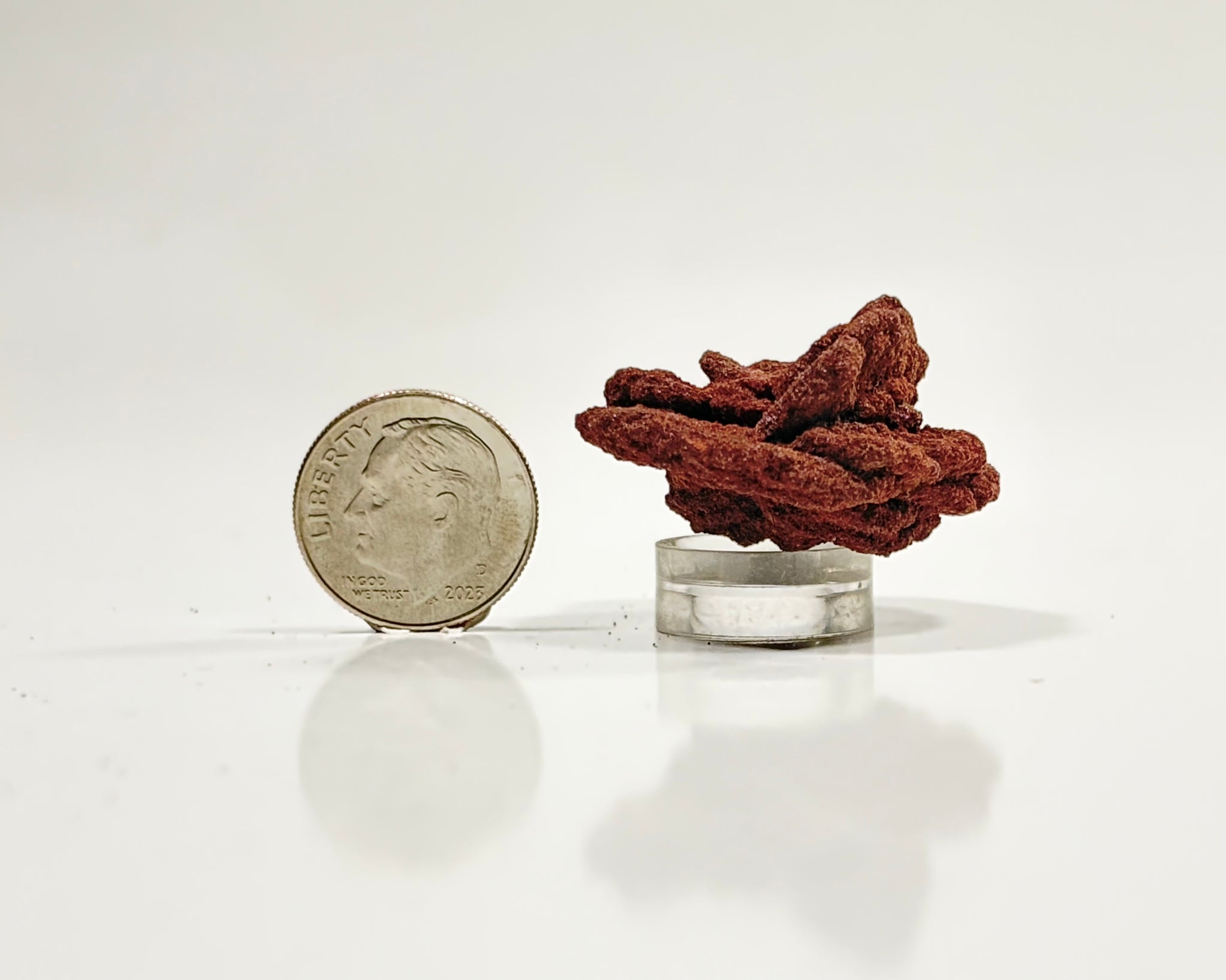 Ultra-Hematitic Barite Rose