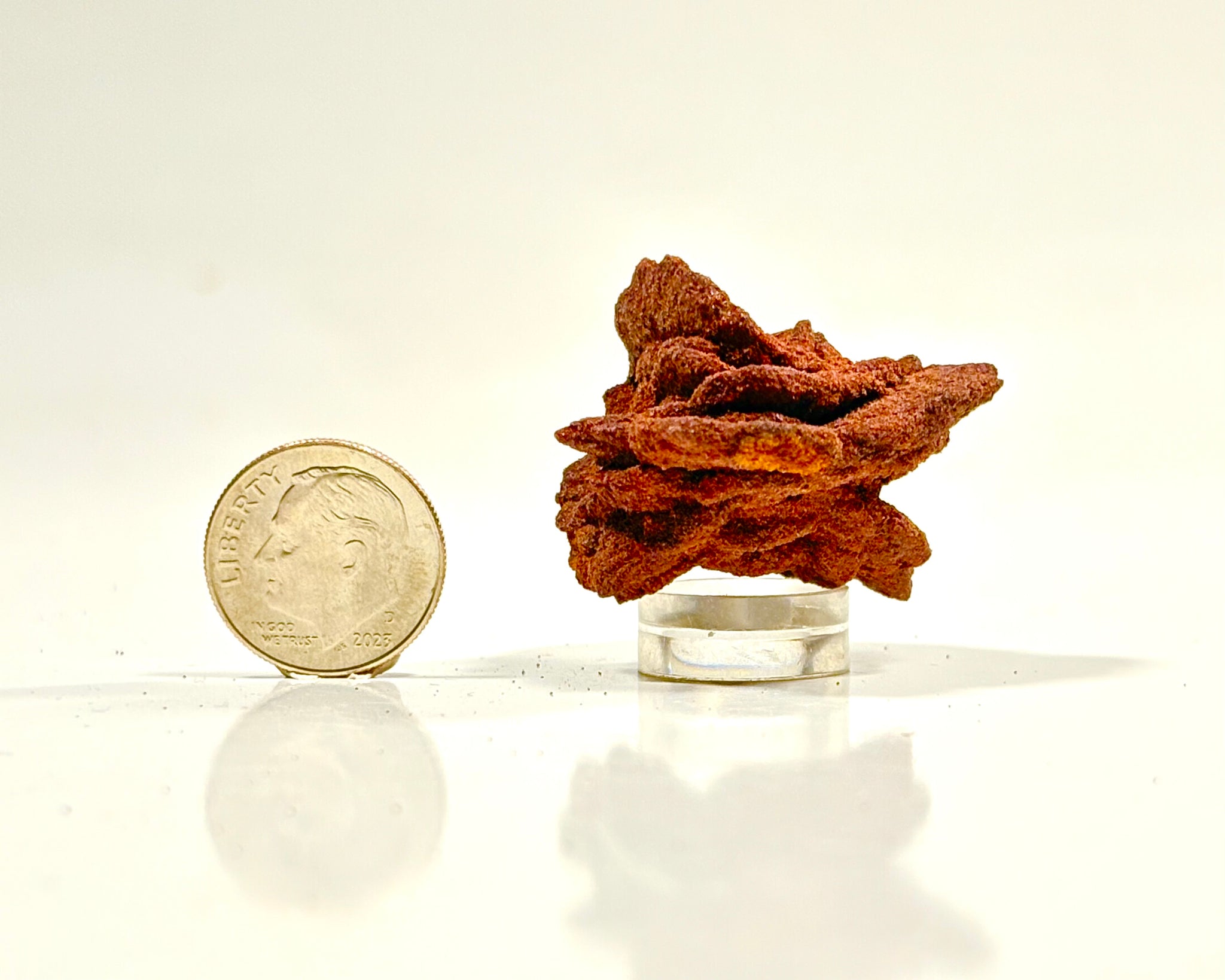Ultra-Hematitic Barite Rose
