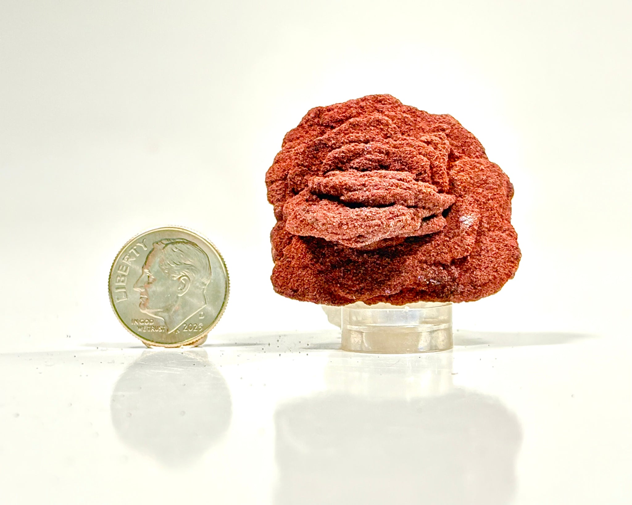 Ultra-Hematitic Barite Rose