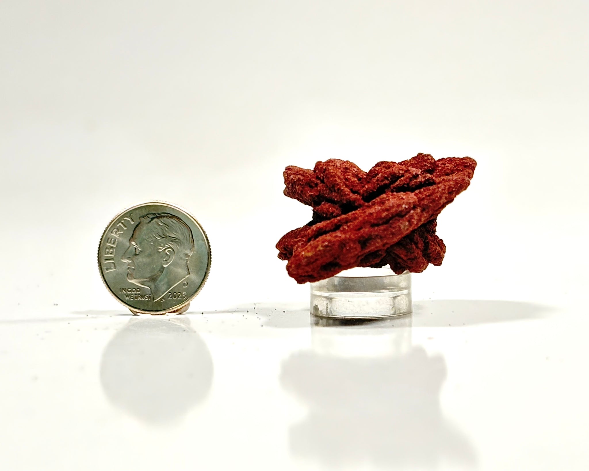 Ultra-Hematitic Barite Rose