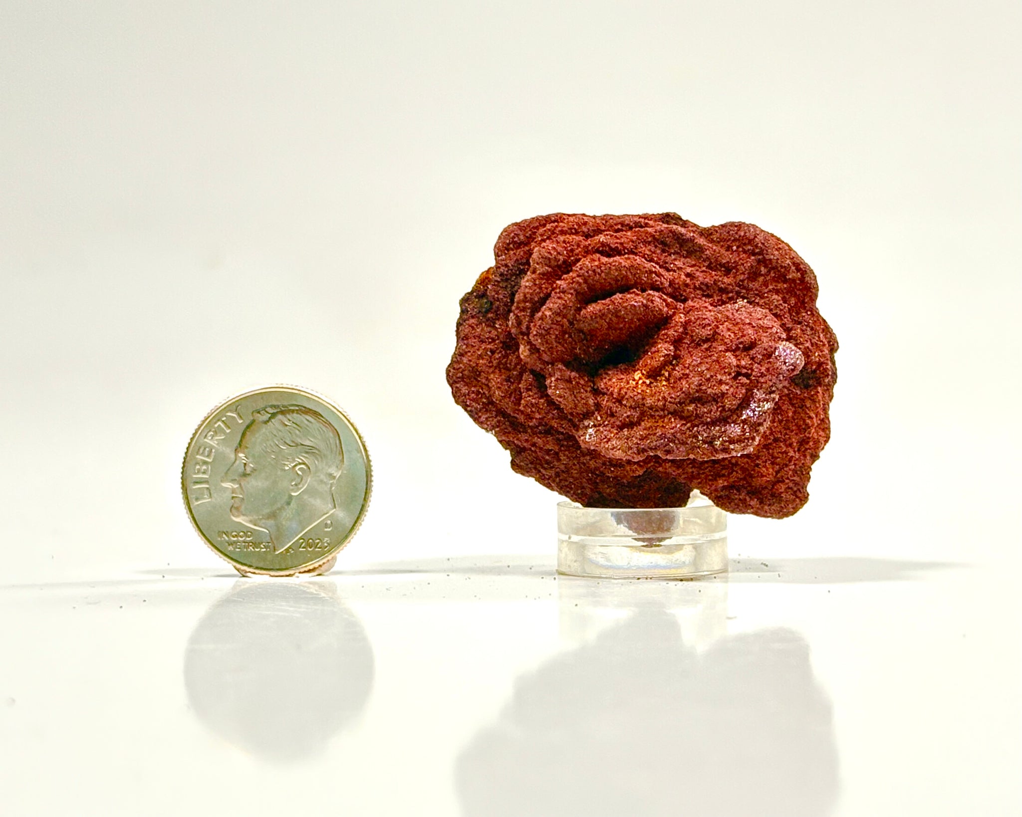 Ultra-Hematitic Barite Rose