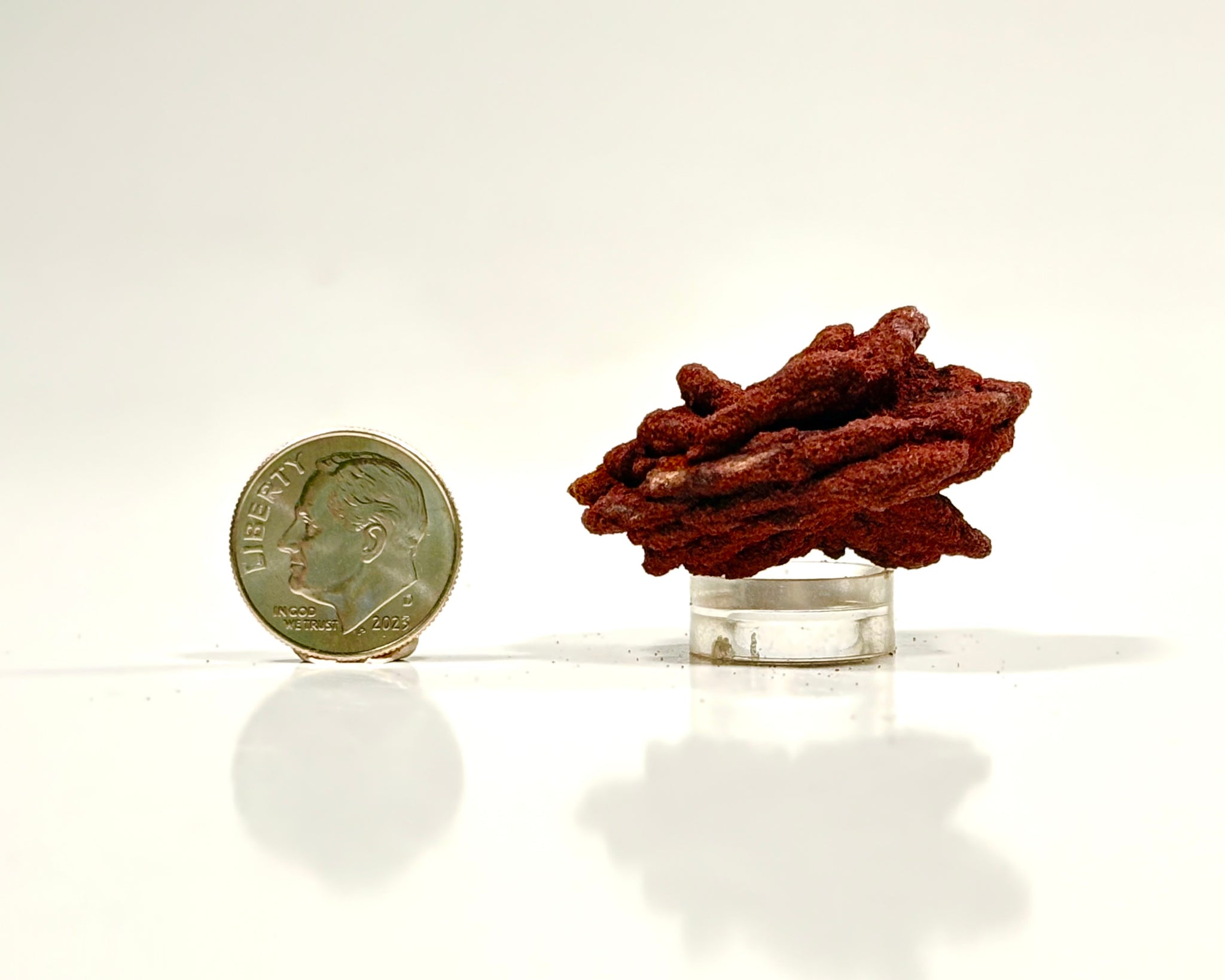Ultra-Hematitic Barite Rose