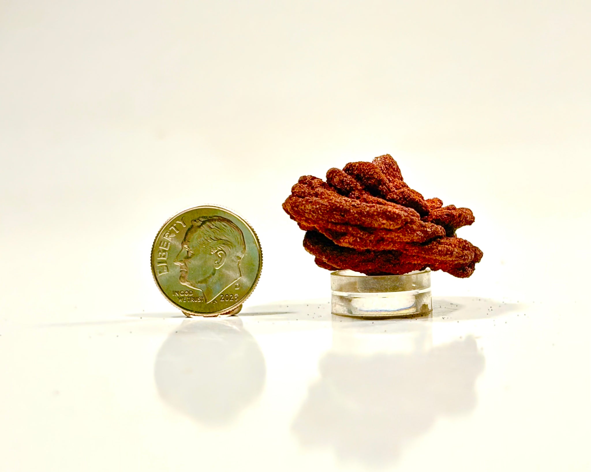 Ultra-Hematitic Barite Rose