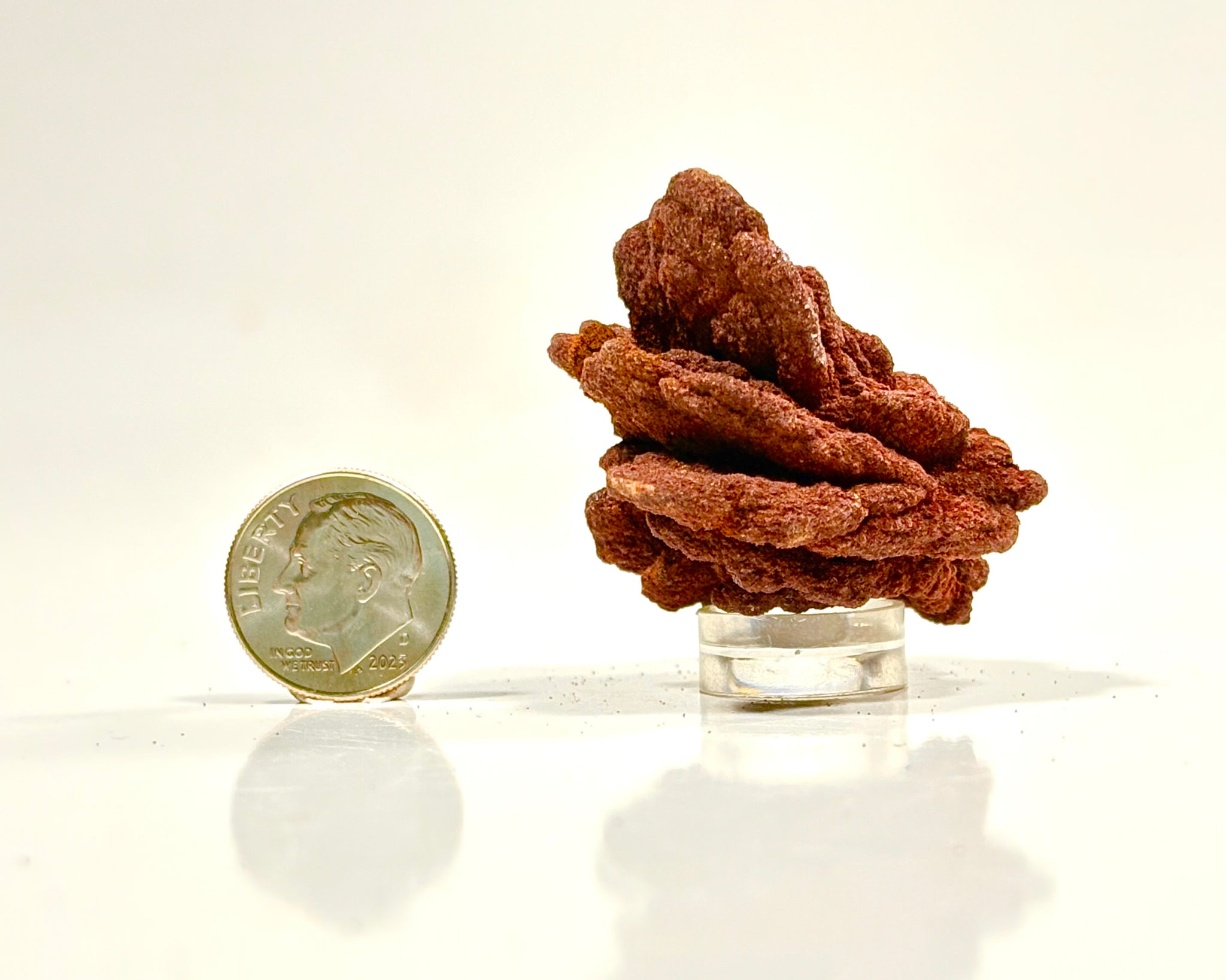 Ultra-Hematitic Barite Rose