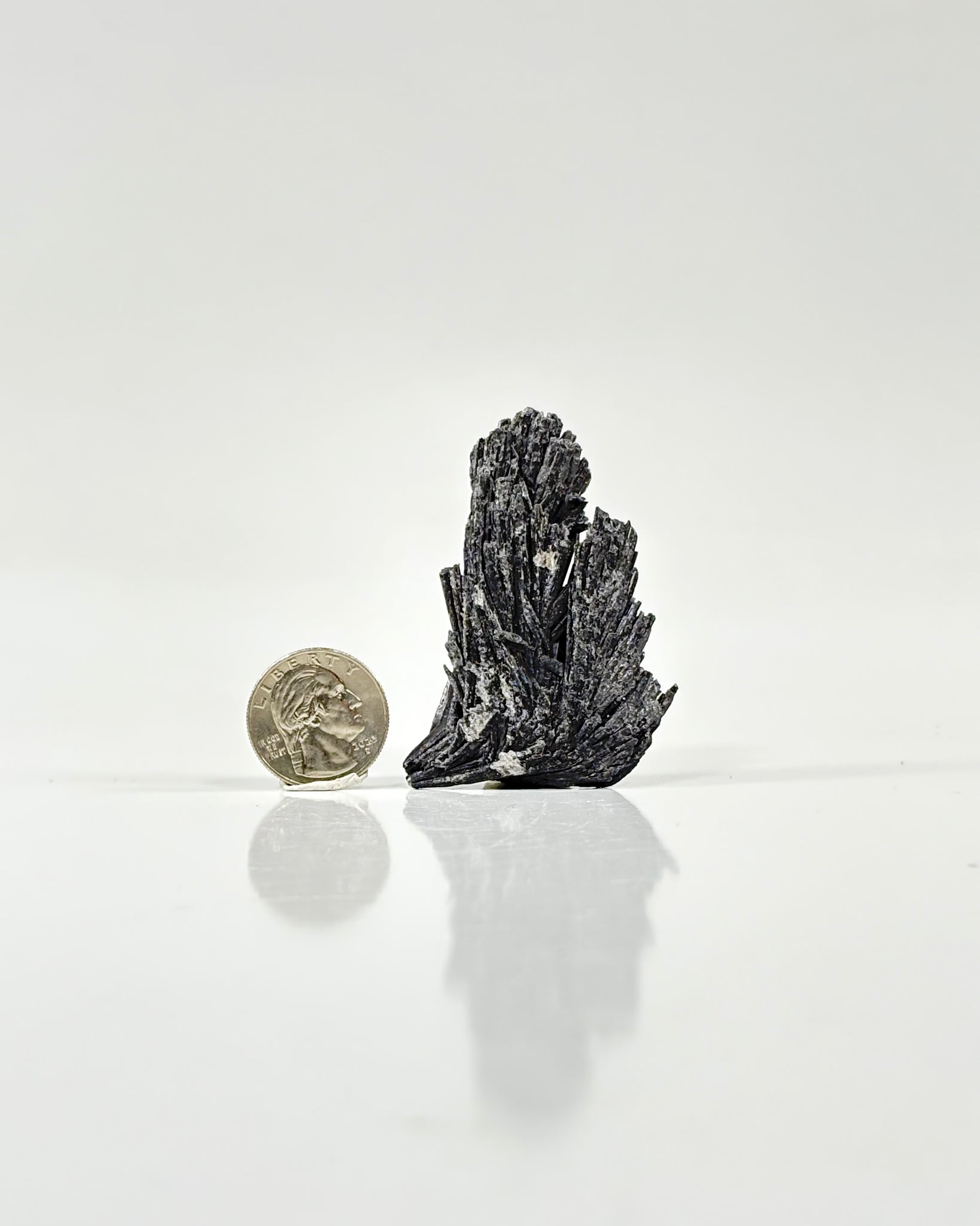 Black Kyanite Blade Brazil
