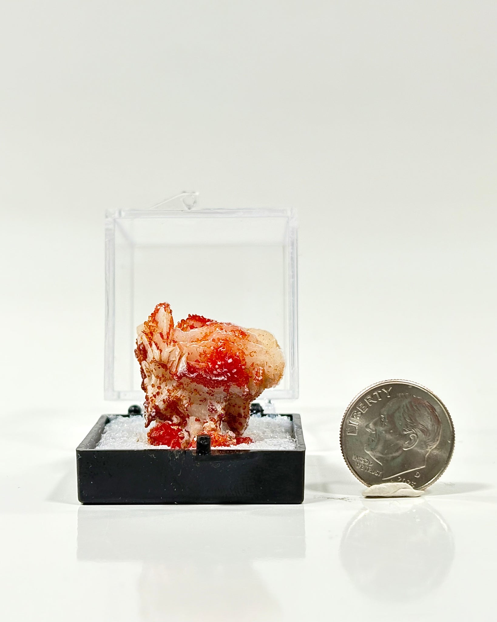 Vanadinite Specimen in Perky Box Morocco