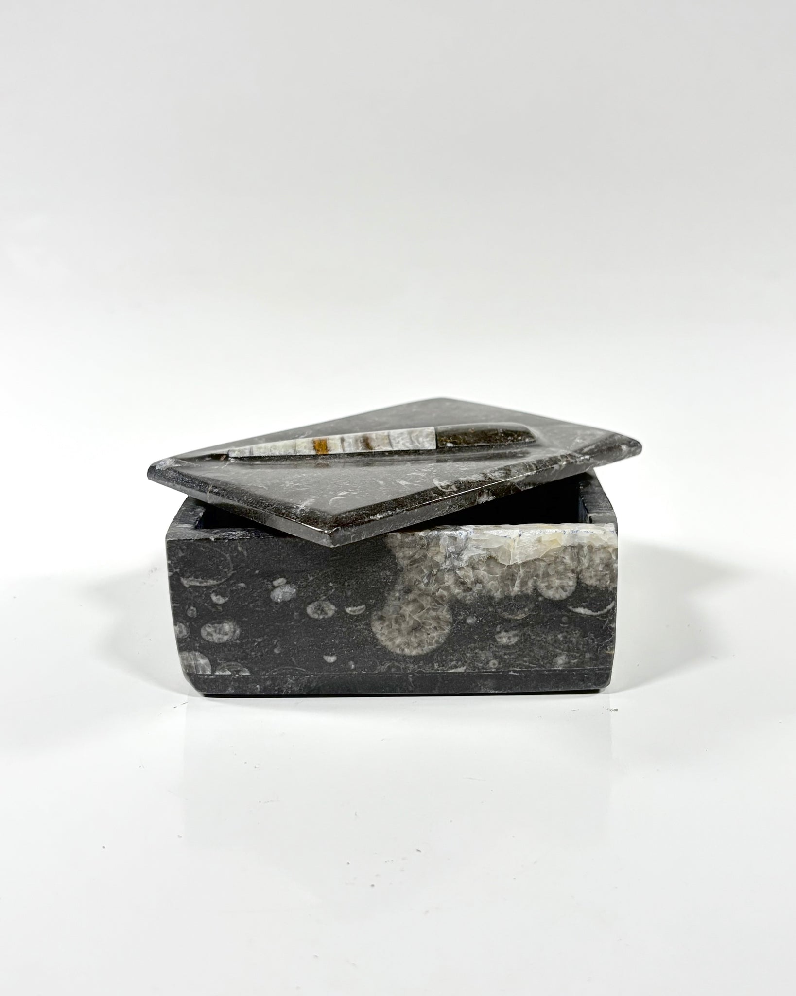 Orthoceras Box