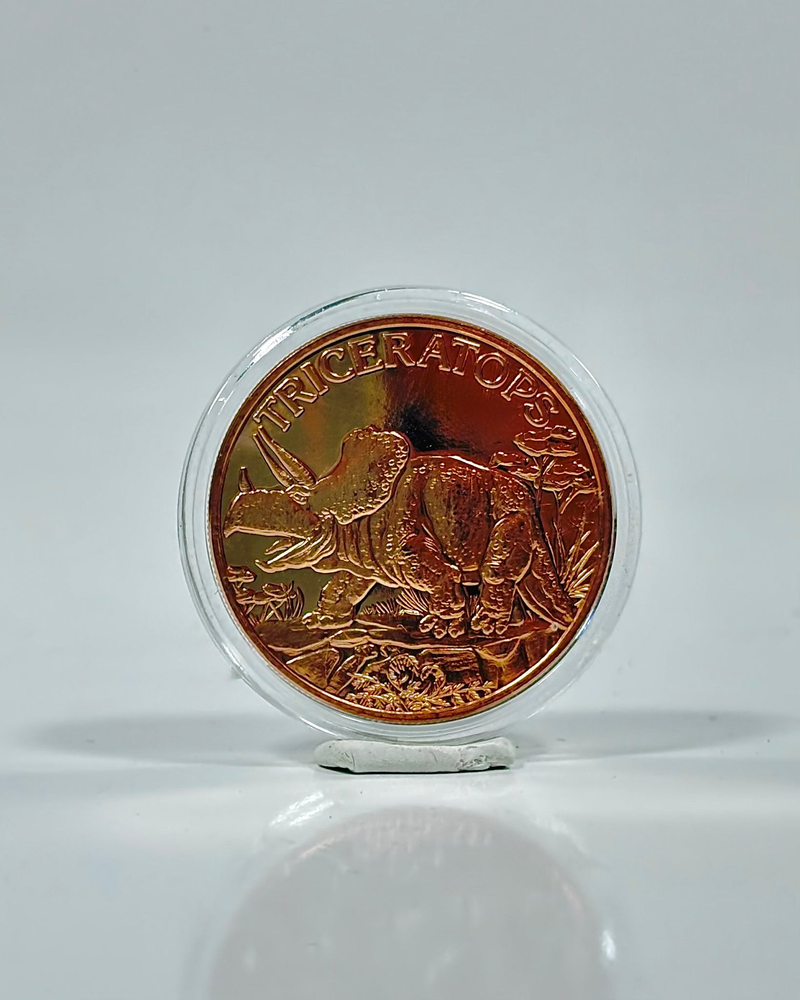 Dinosaur Copper Coin