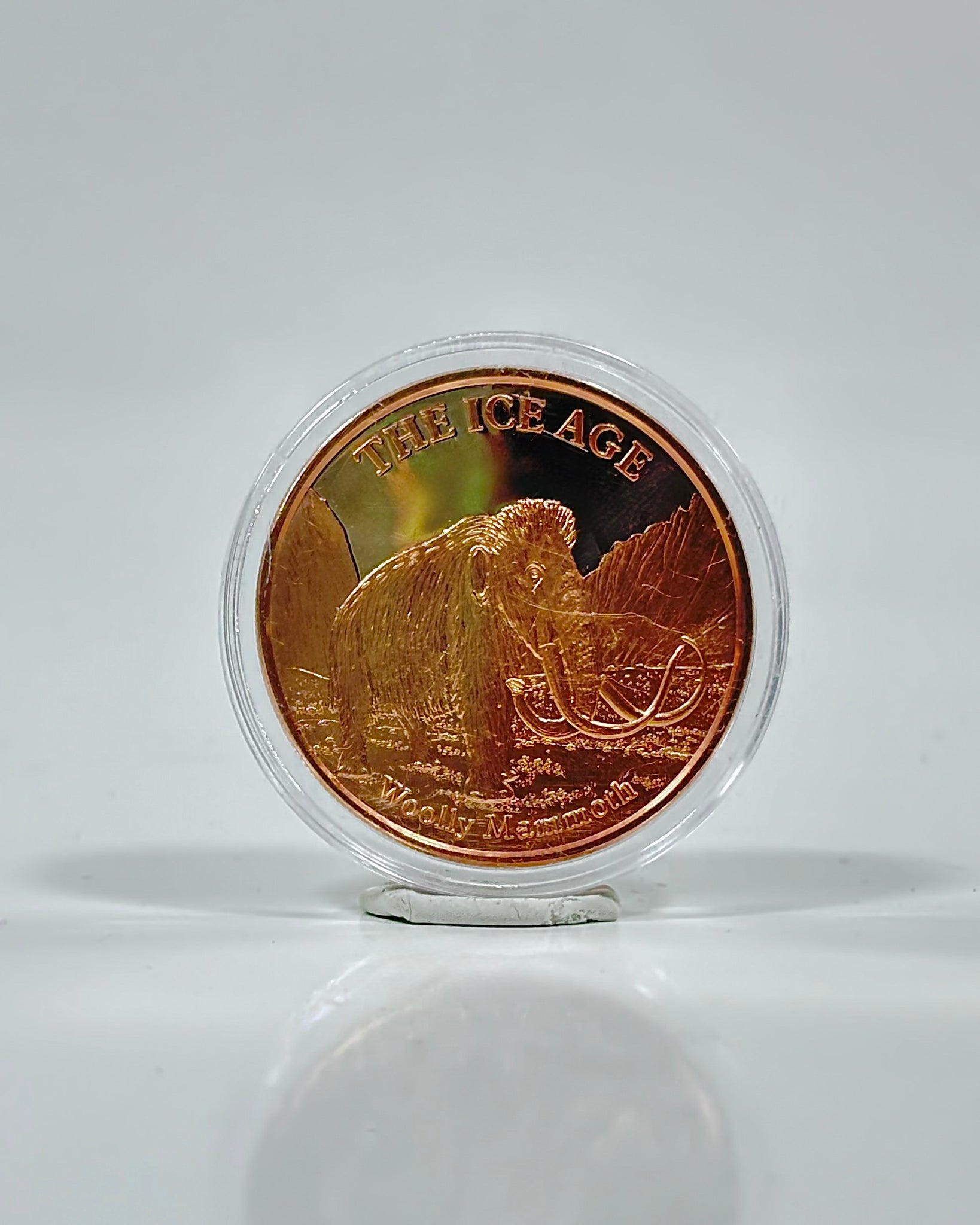 Dinosaur Copper Coin