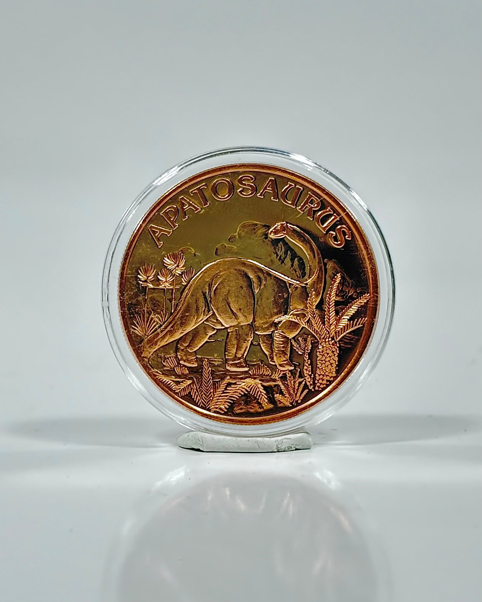 Dinosaur Copper Coin