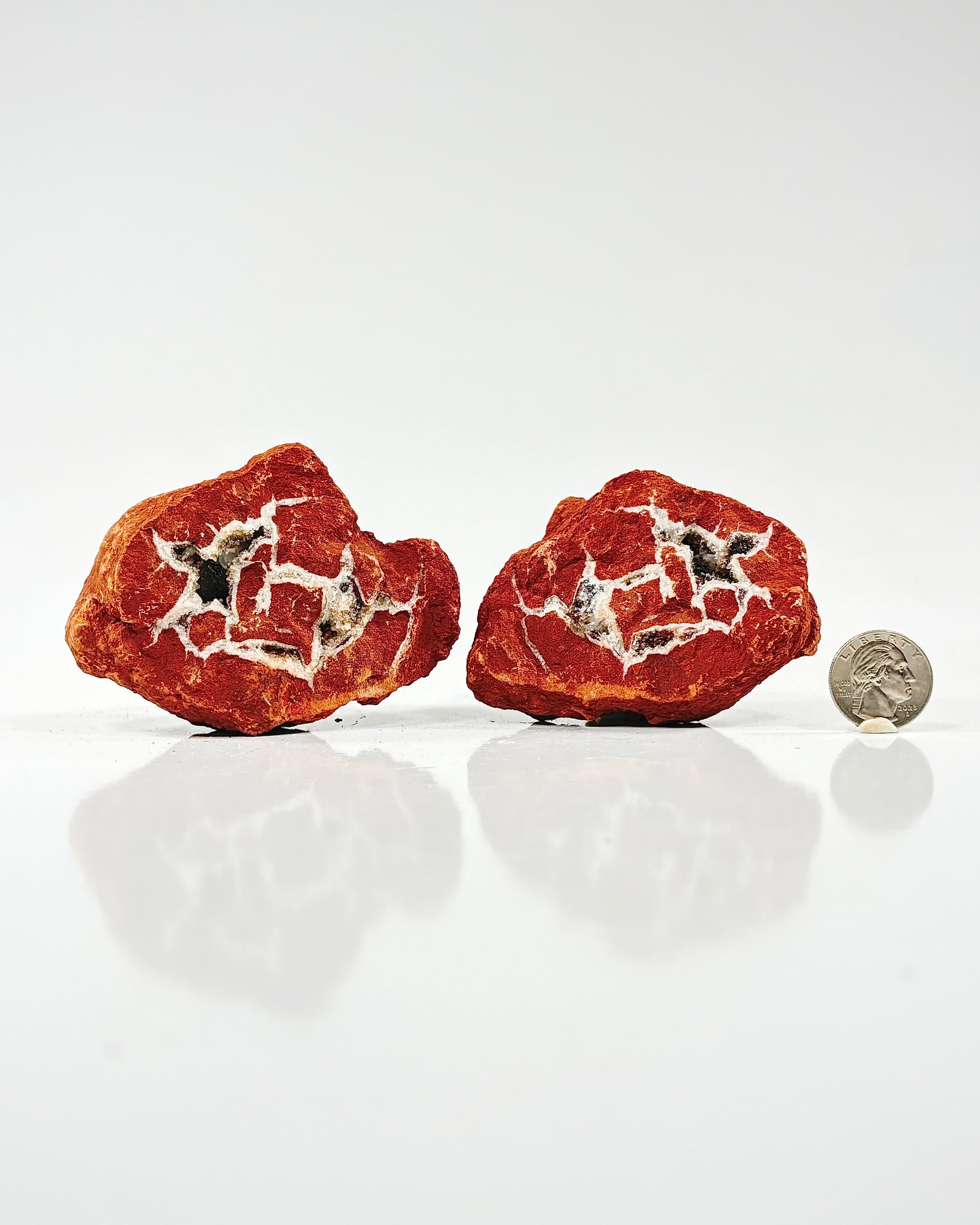 Mangano "OMGites" (OK Mud Balls) Pair