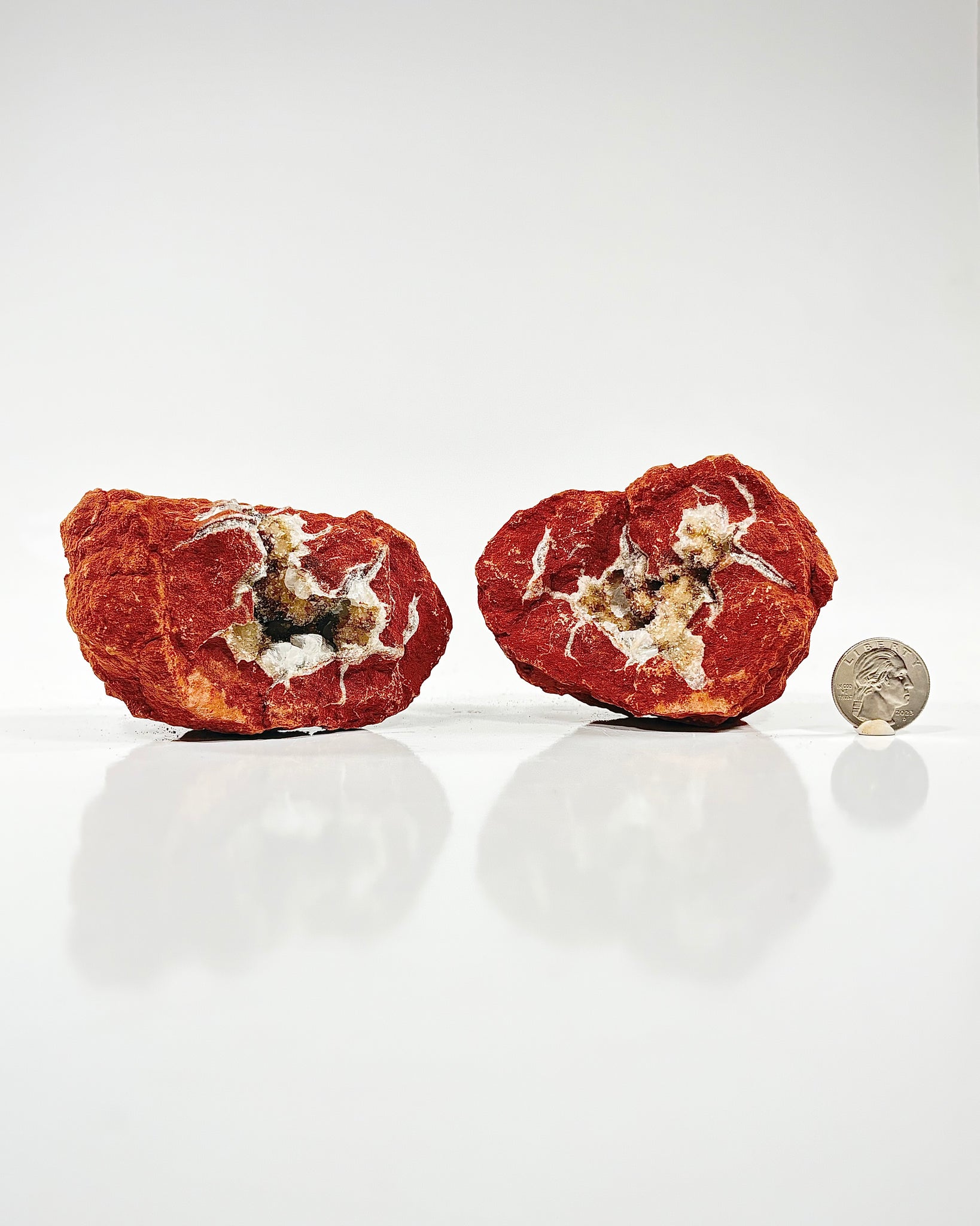 Mangano "OMGites" (OK Mud Balls) Pair