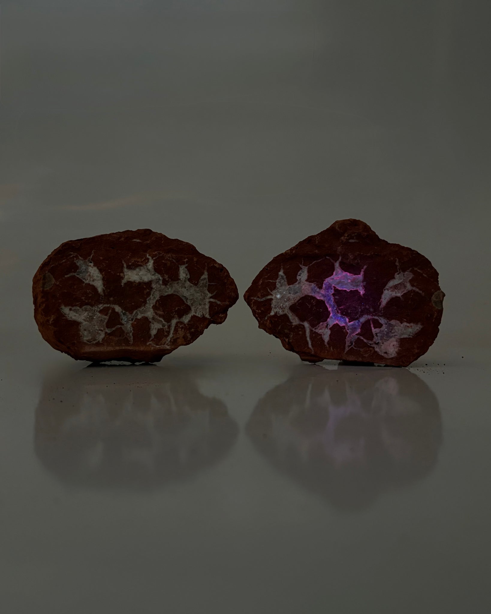Mangano "OMGites" (OK Mud Balls) Pair