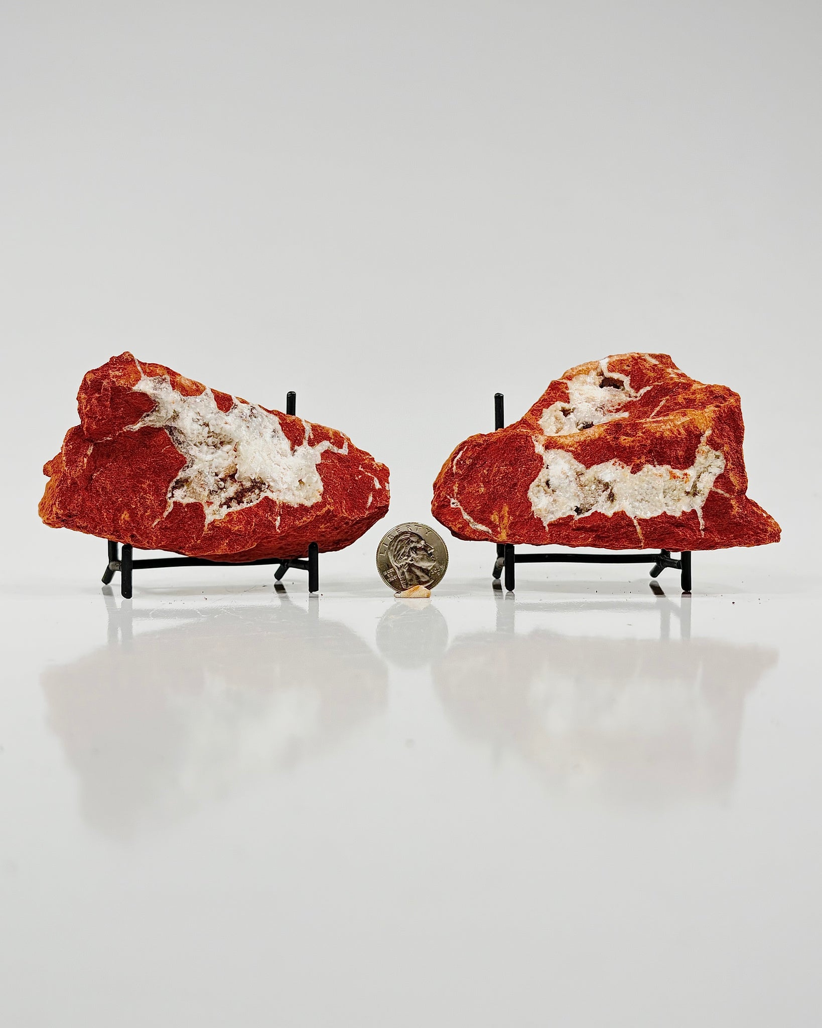 Mangano "OMGites" (OK Mud Balls) Pair