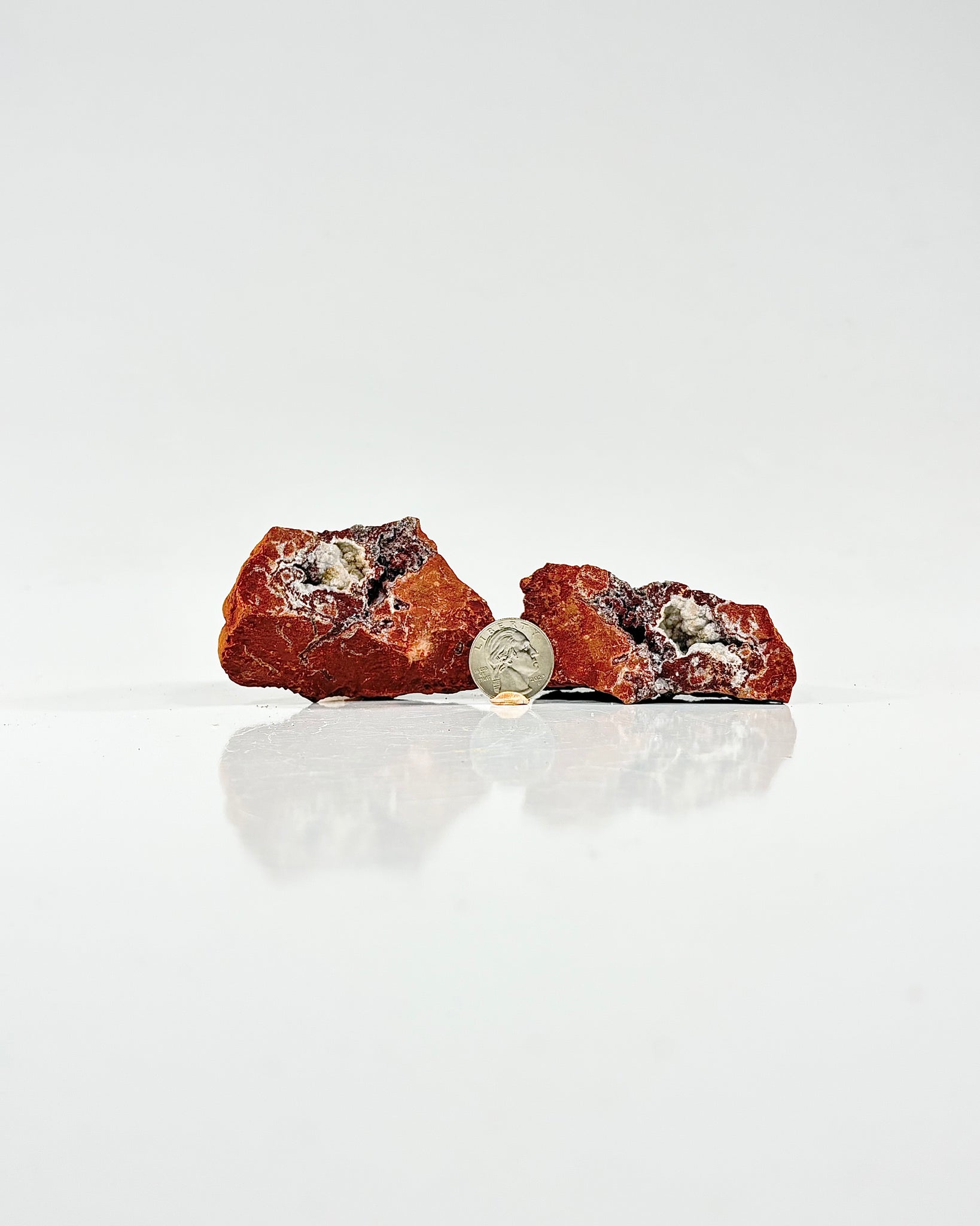 Mangano "OMGites" (OK Mud Balls) Pair