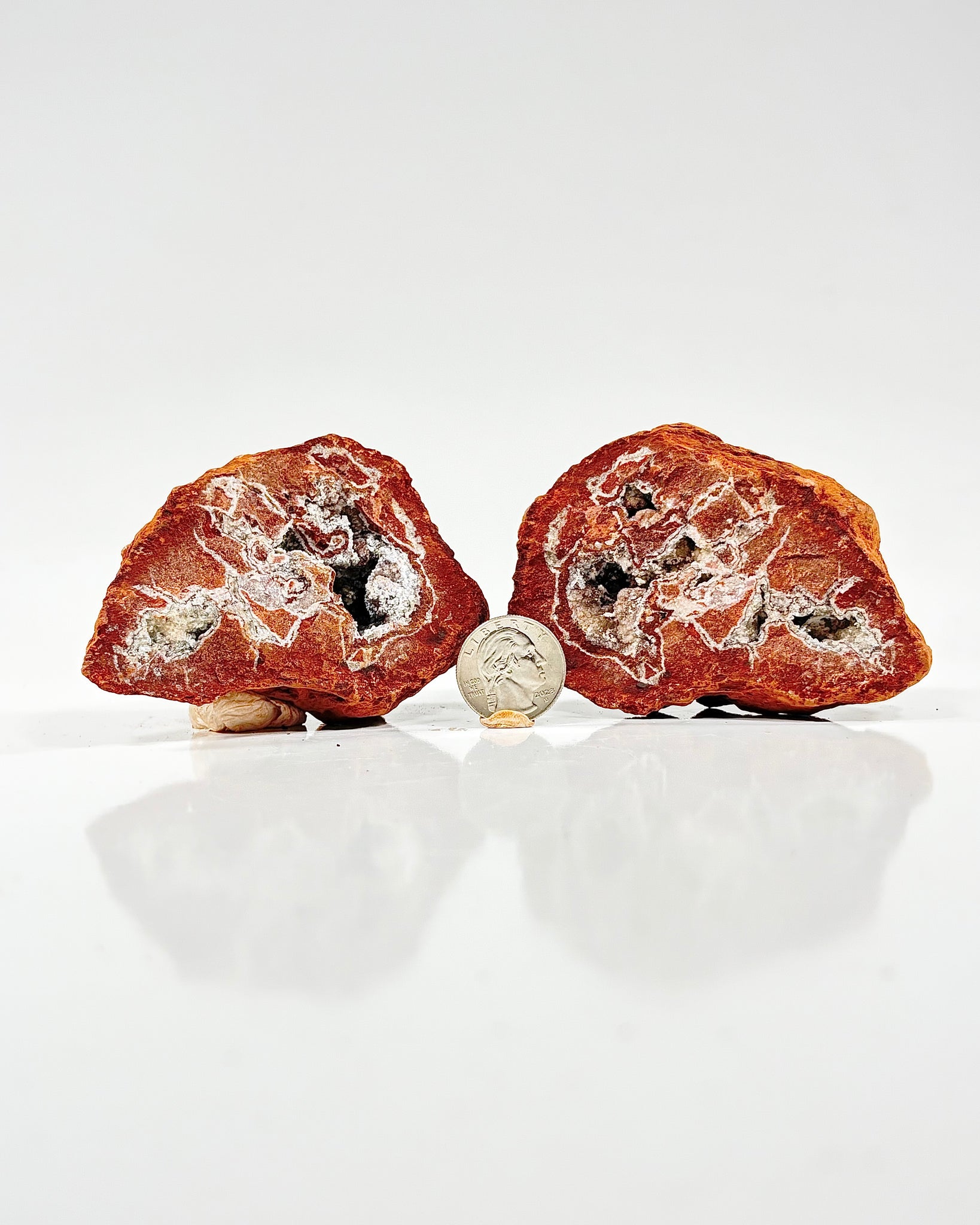 Mangano "OMGites" (OK Mud Balls) Pair