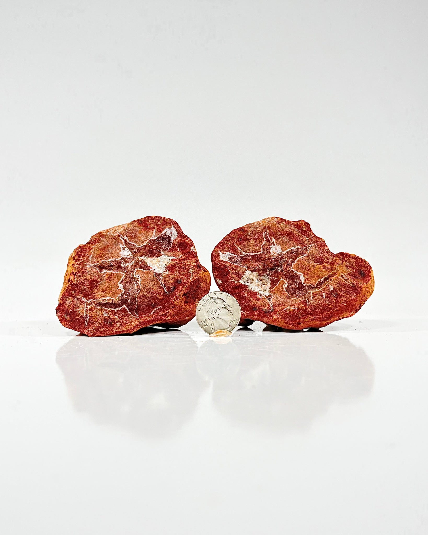 Mangano "OMGites" (OK Mud Balls) Pair