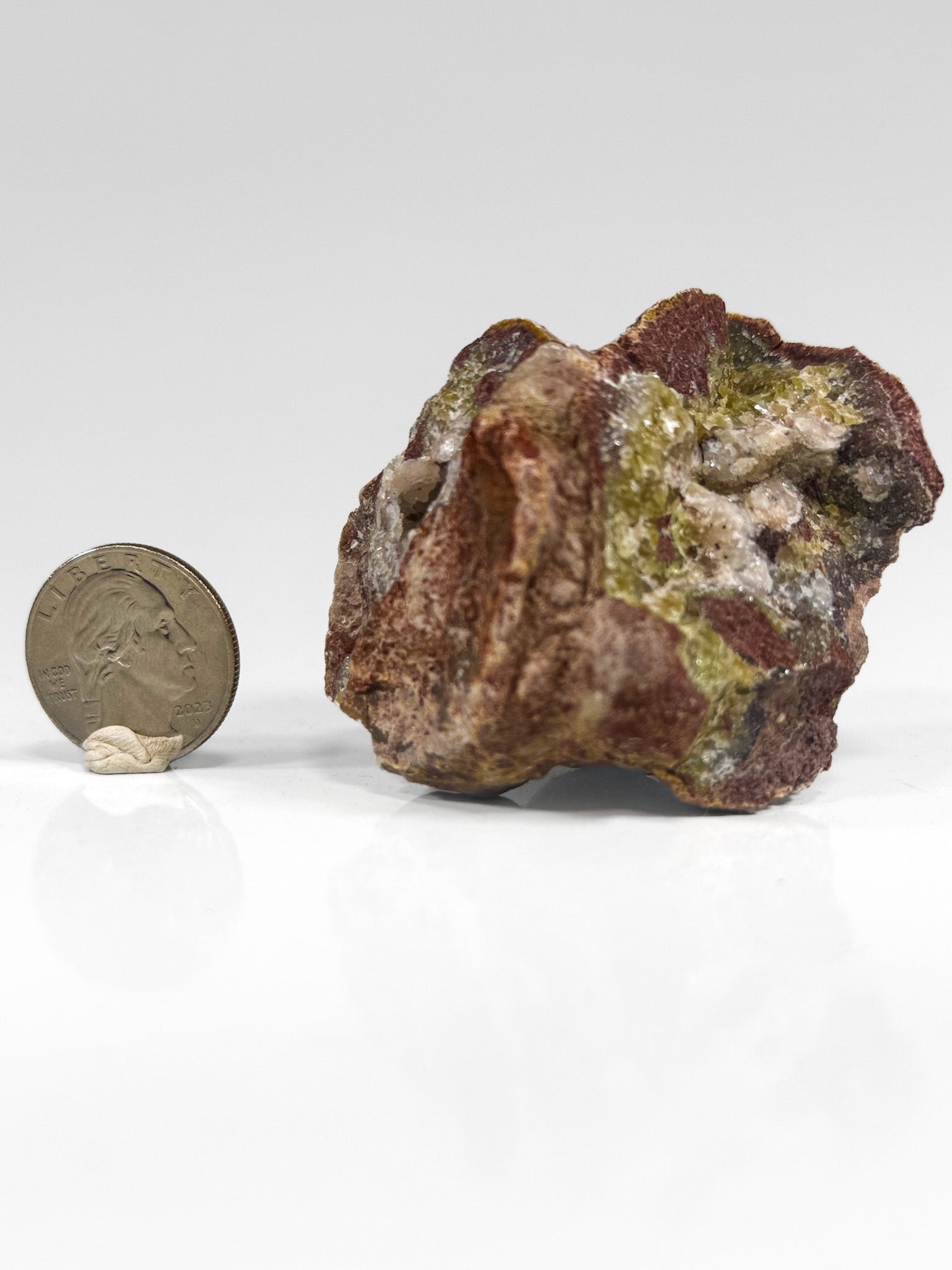 Cherry Mangano “OMGites” (OK Mud Balls)