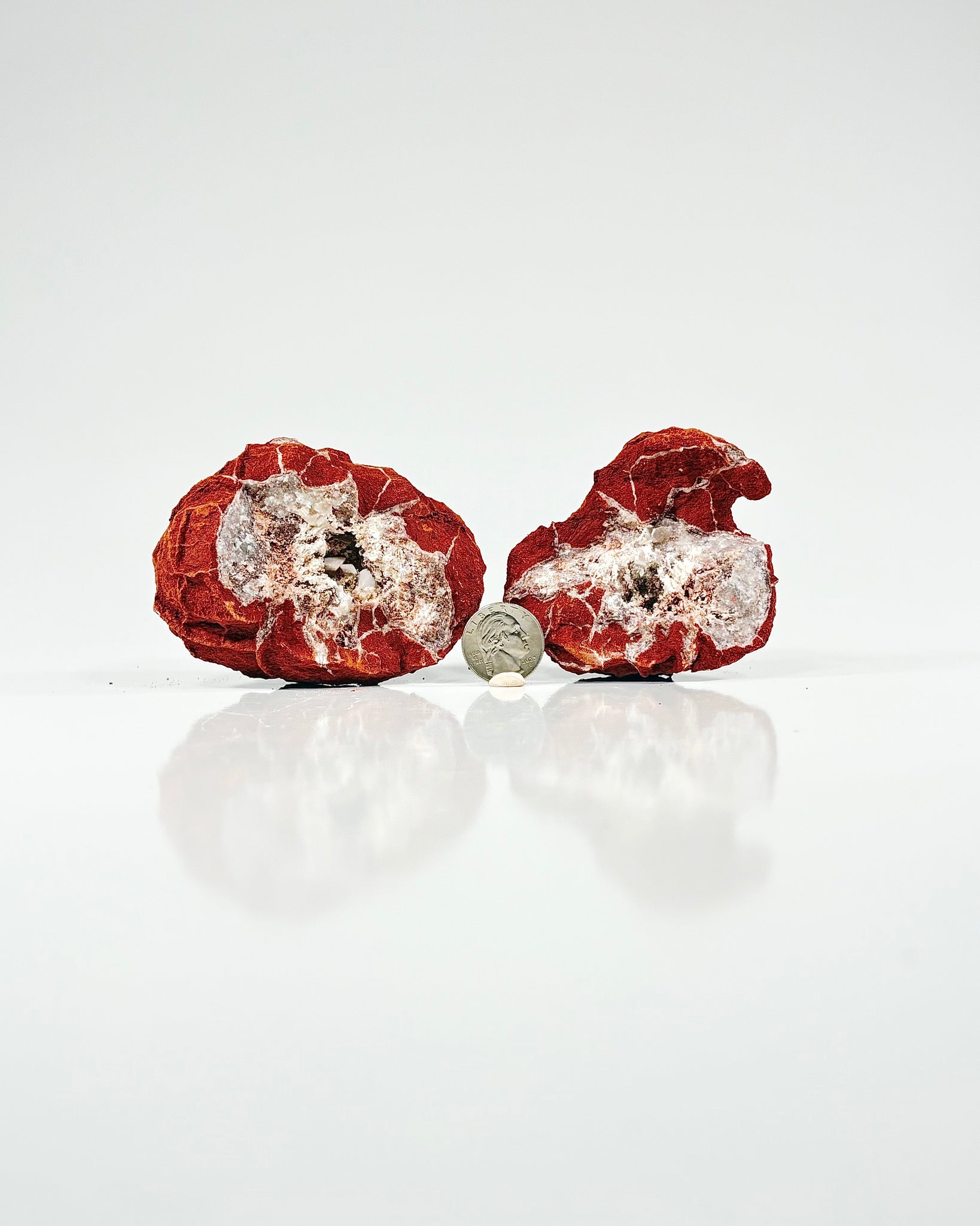 Mangano "OMGites" (OK Mud Balls) Pair
