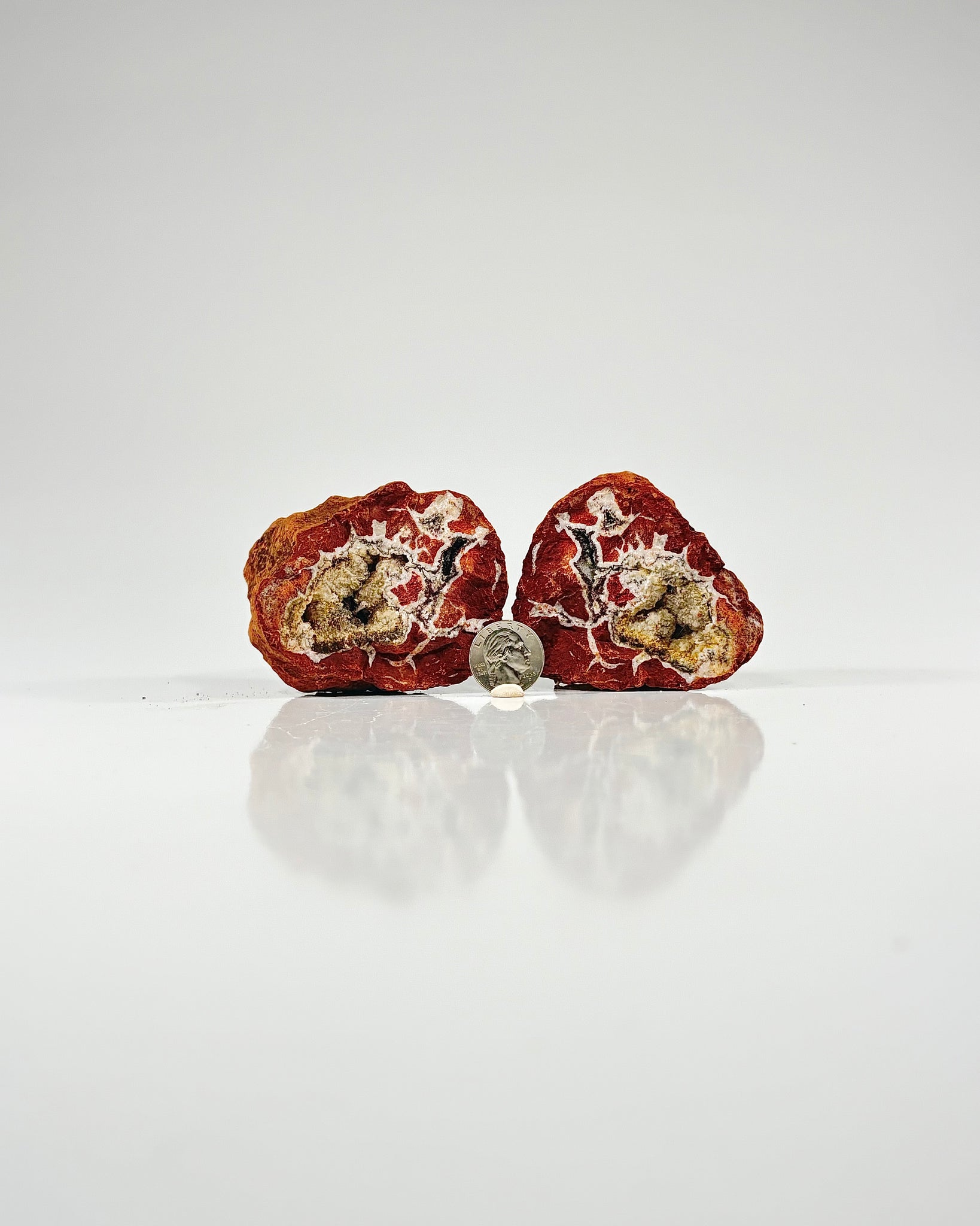 Mangano "OMGites" (OK Mud Balls) Pair