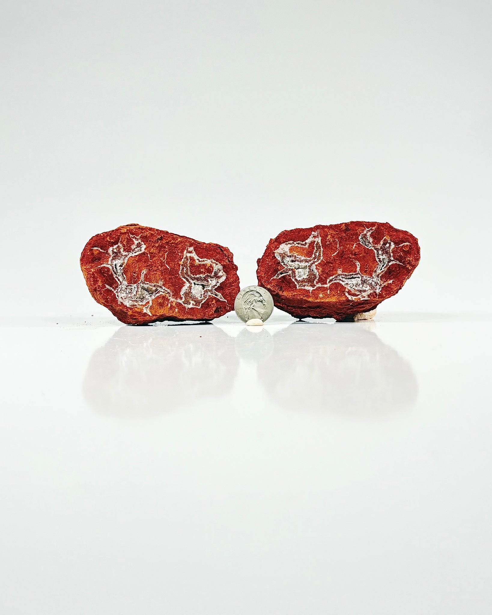 Mangano "OMGites" (OK Mud Balls) Pair