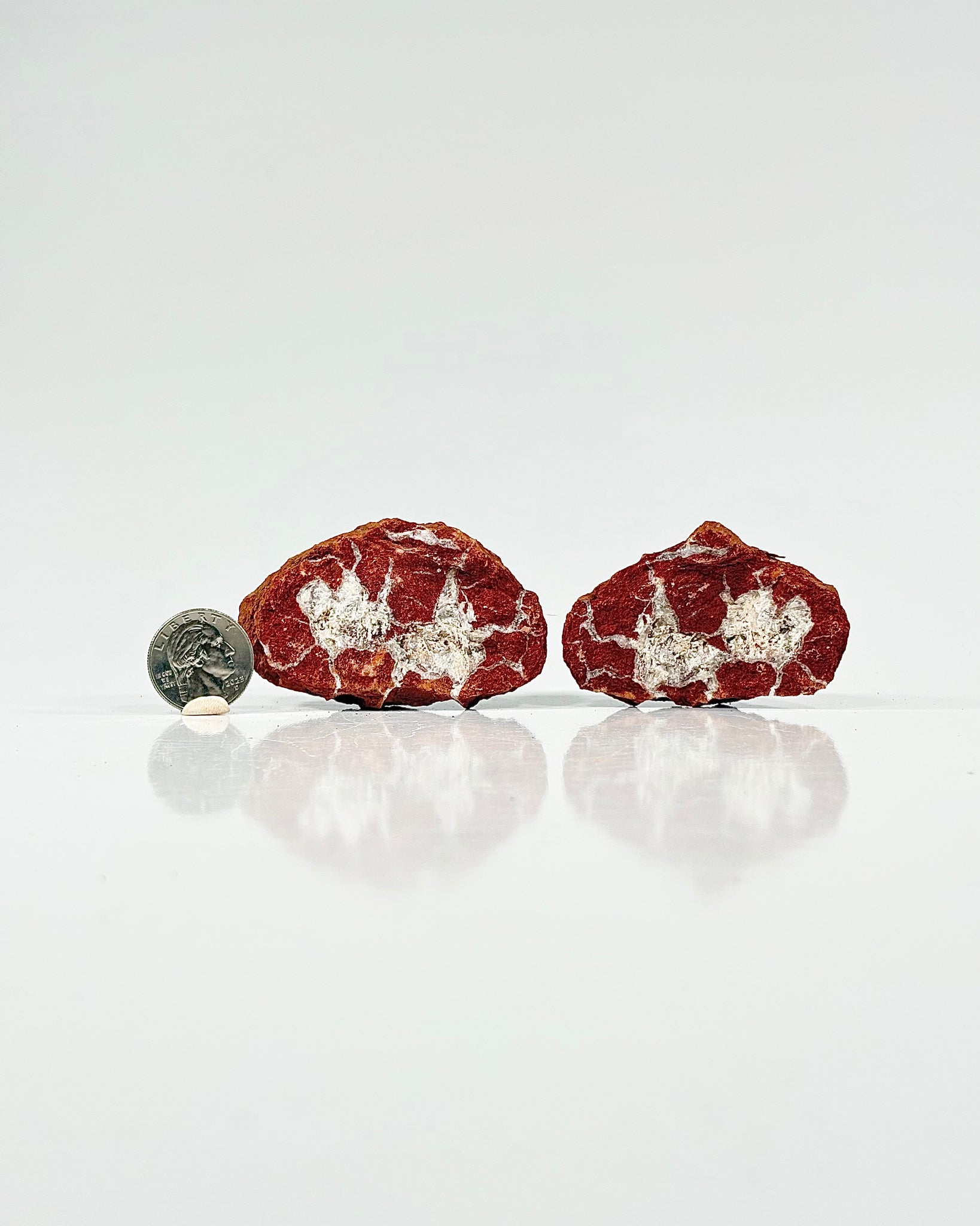 Mangano "OMGites" (OK Mud Balls) Pair