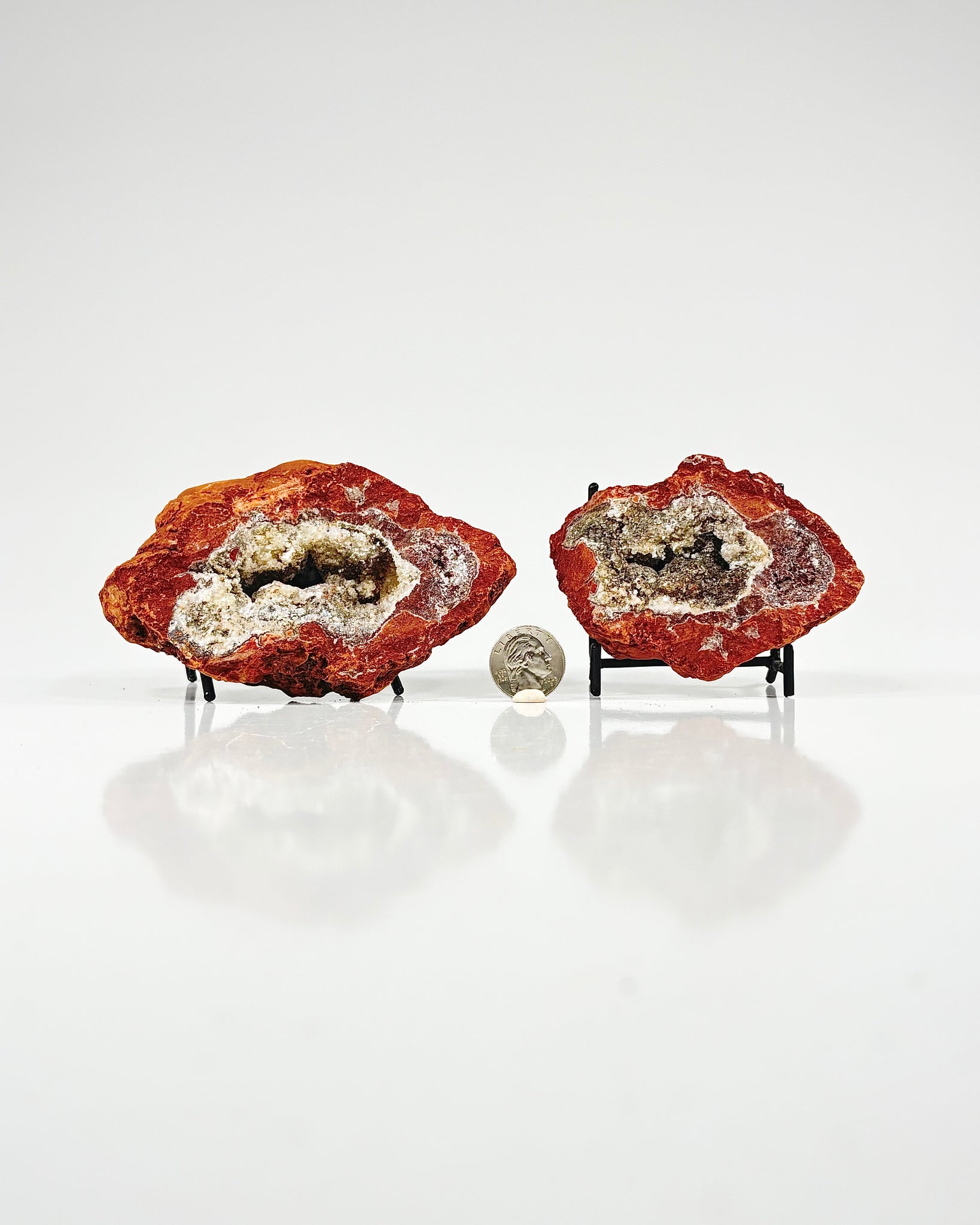 Mangano "OMGites" (OK Mud Balls) Pair
