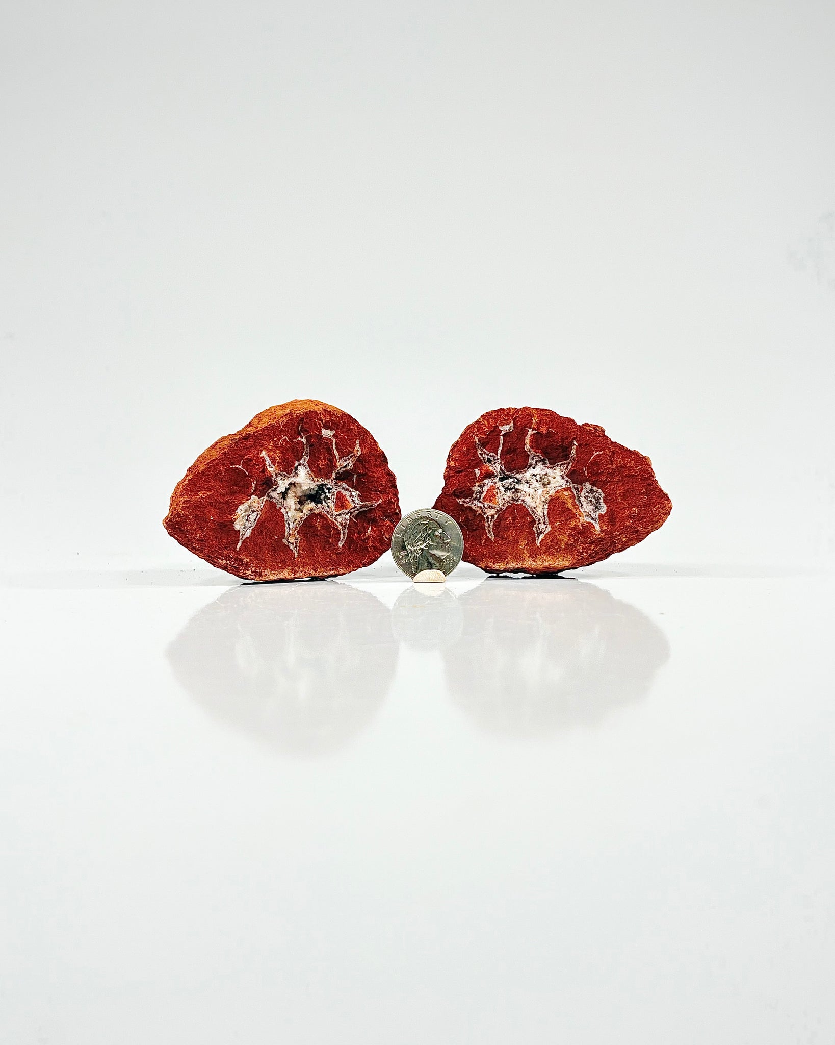 Mangano "OMGites" (OK Mud Balls) Pair