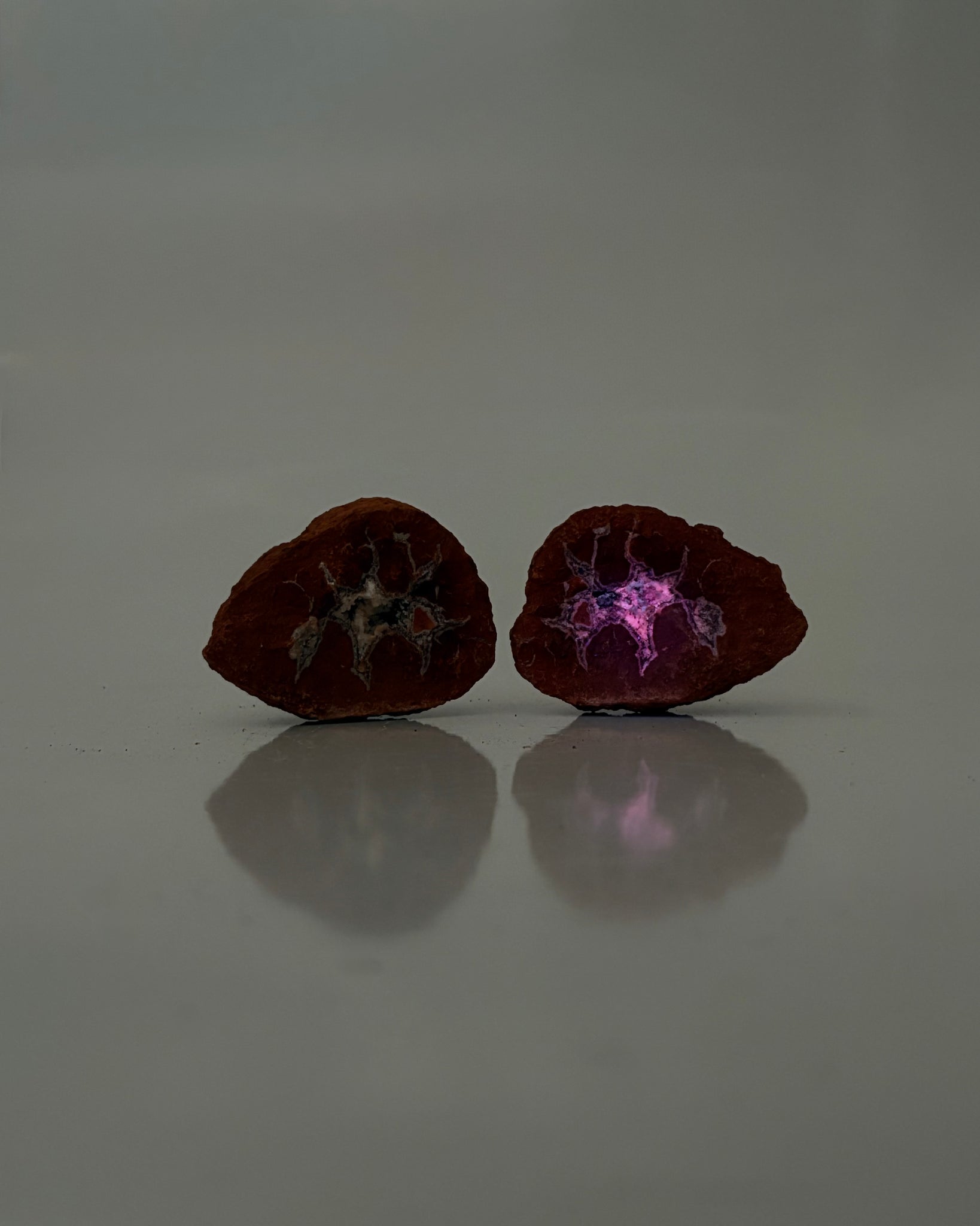 Mangano "OMGites" (OK Mud Balls) Pair