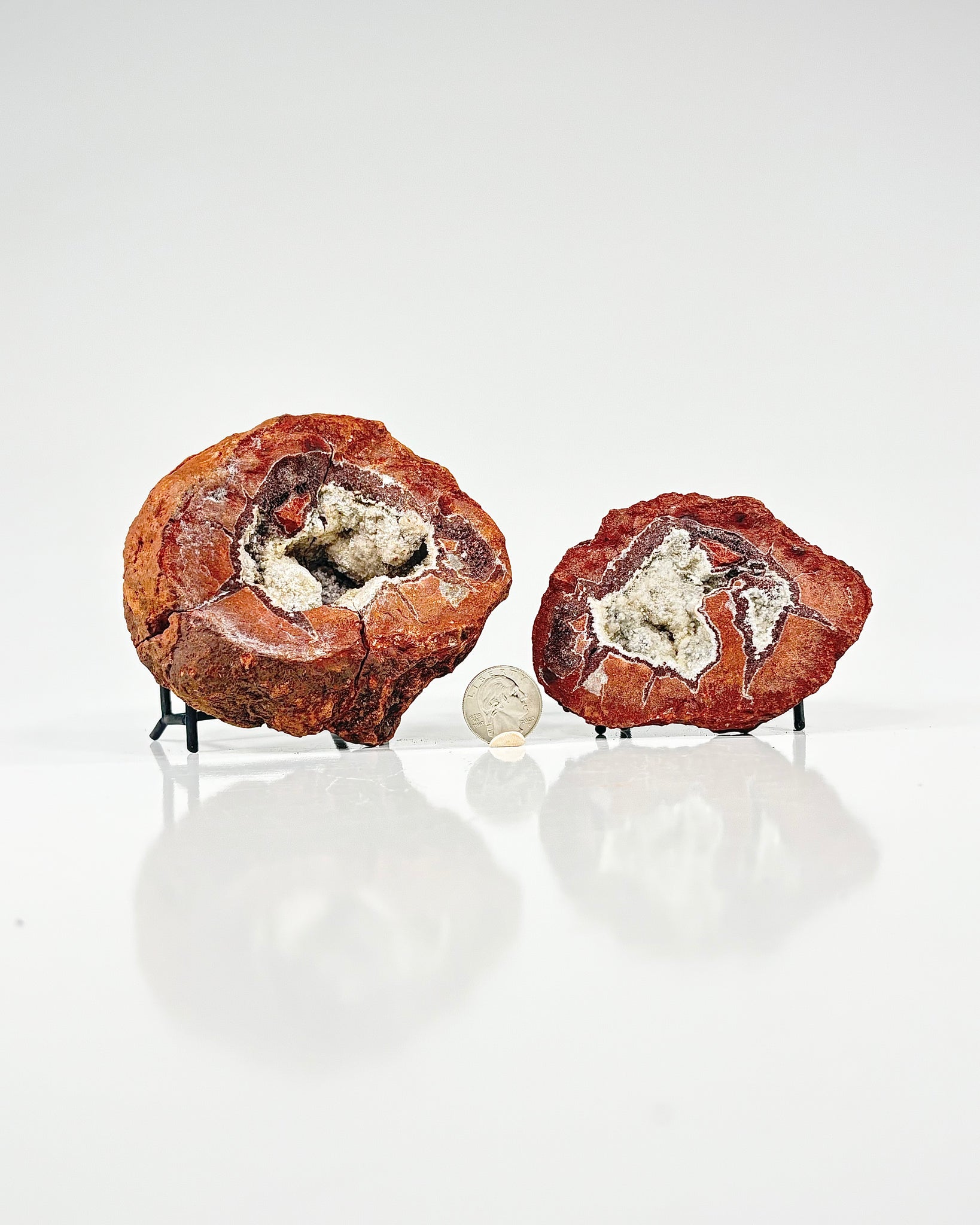 Mangano "OMGites" (OK Mud Balls) Pair