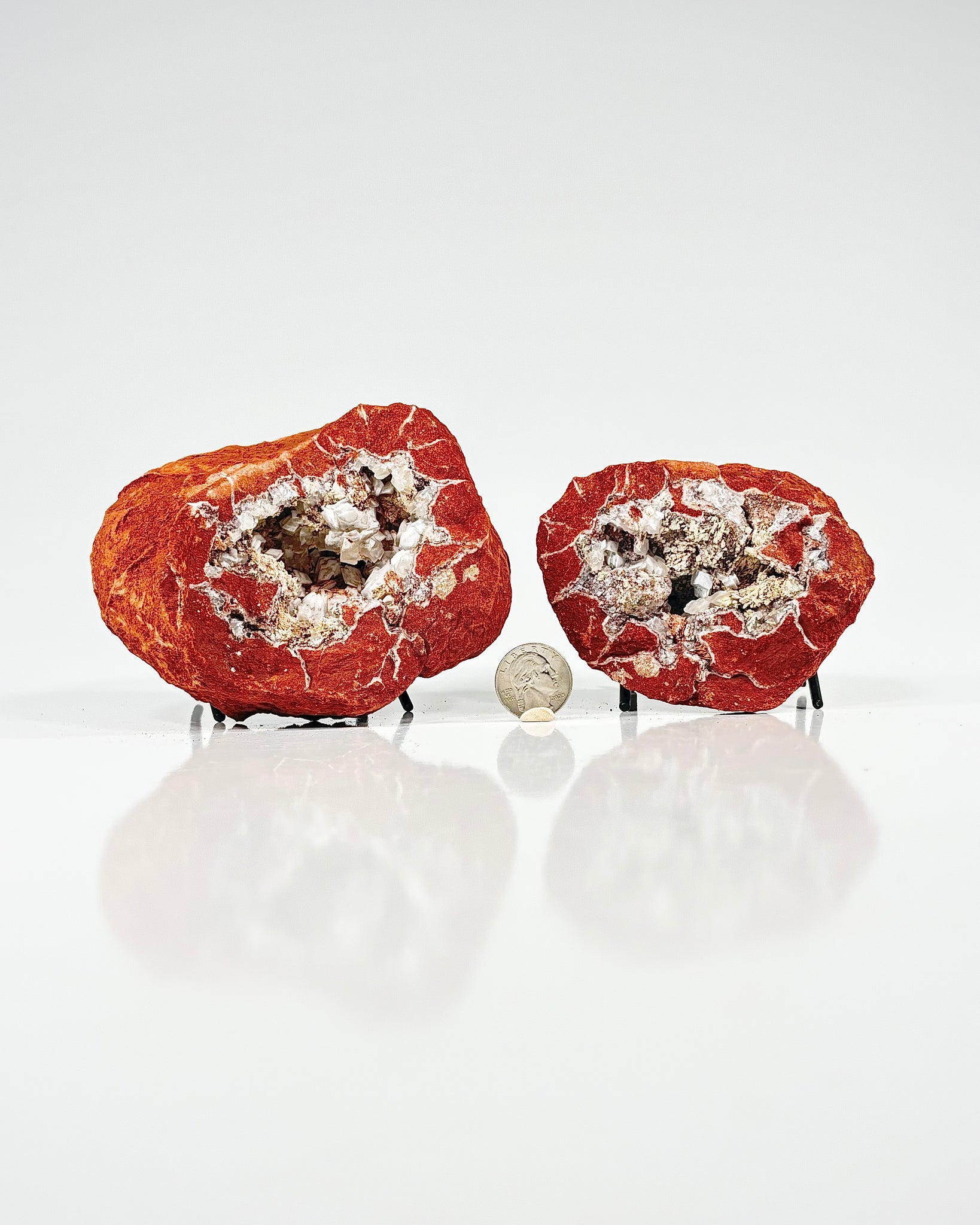 Mangano "OMGites" (OK Mud Balls) Pair